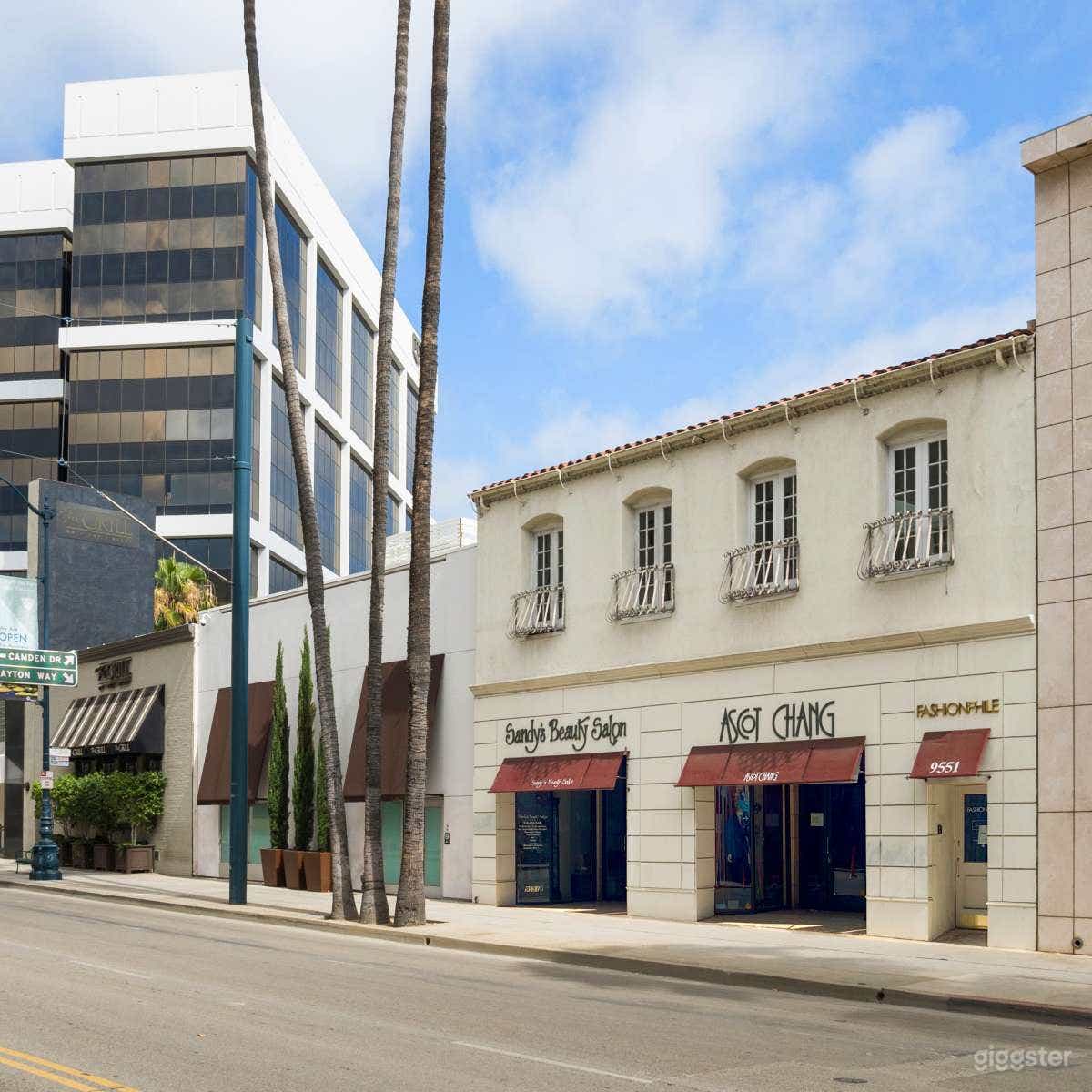 Beverly Hills Luxury Modern Retail Photo 2