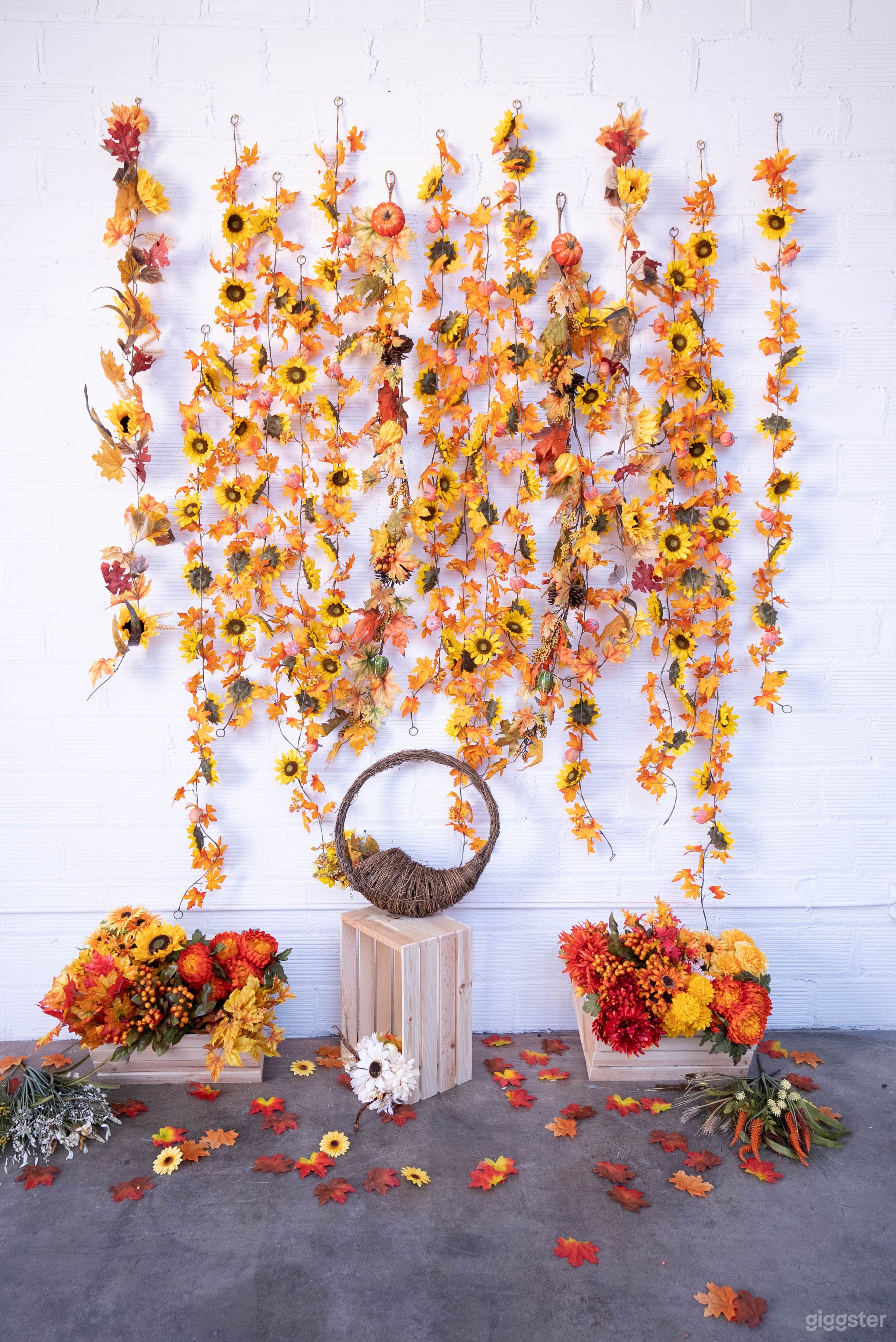 DTLA Multiset Photo/Video Studio Photo 4