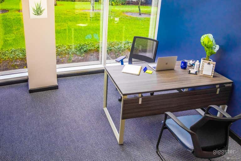  Modern Private Office Room in West Palm Beach 