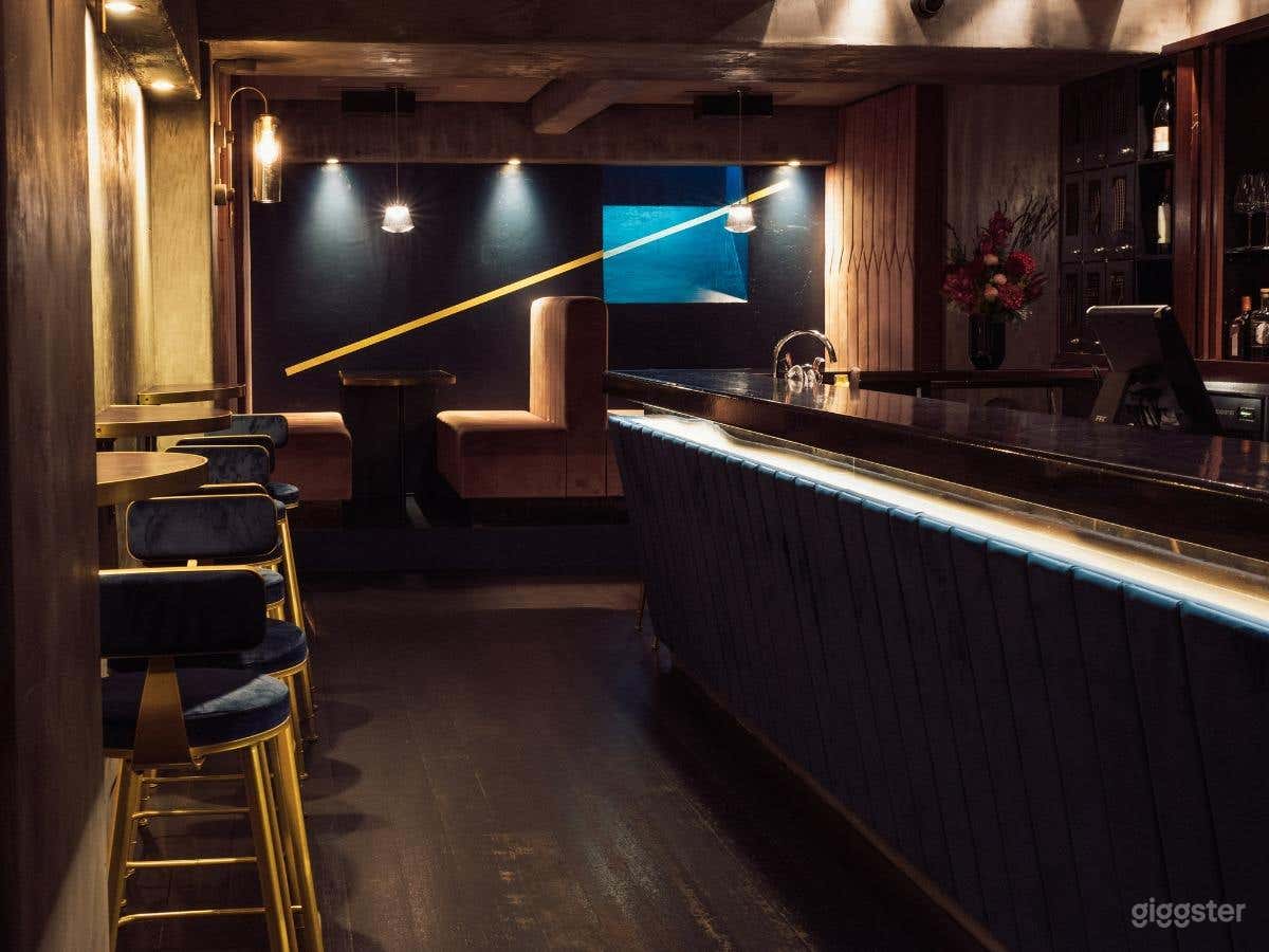 Contemporary Style Bar Photo 4