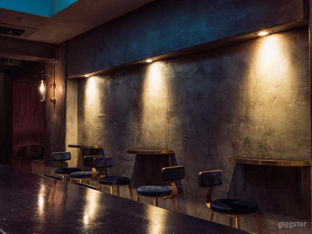 Contemporary Style Bar Photo 1