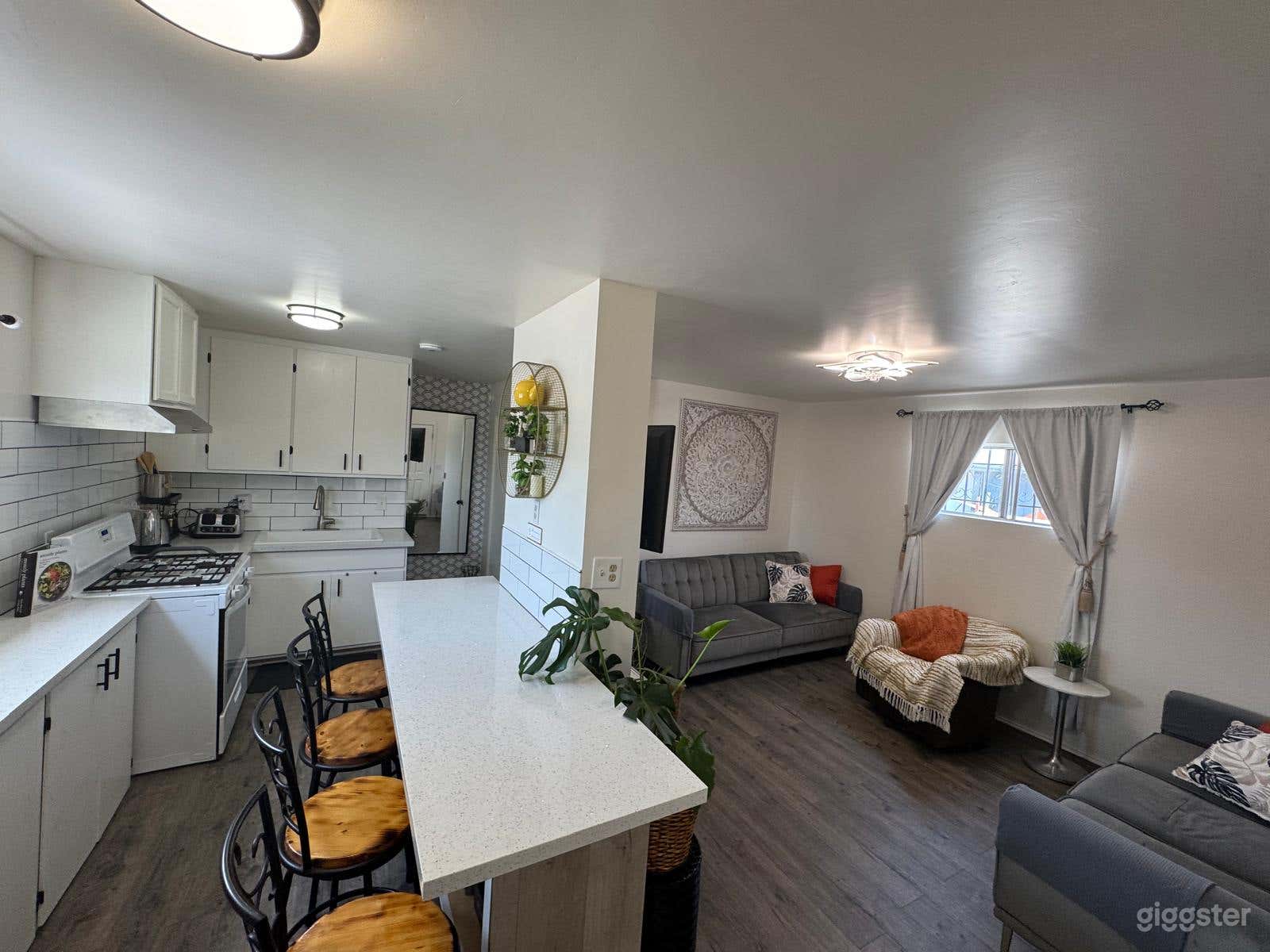 Kitchen and Living room