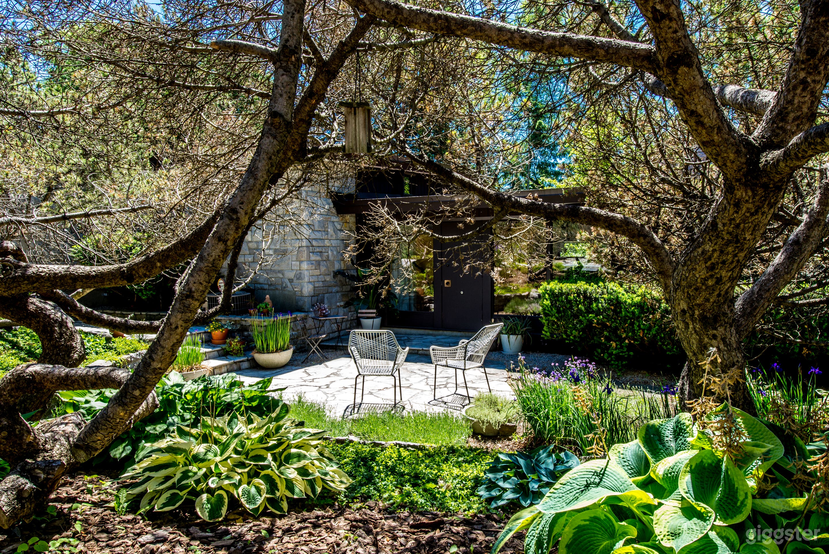 View of the front patio though the trees.