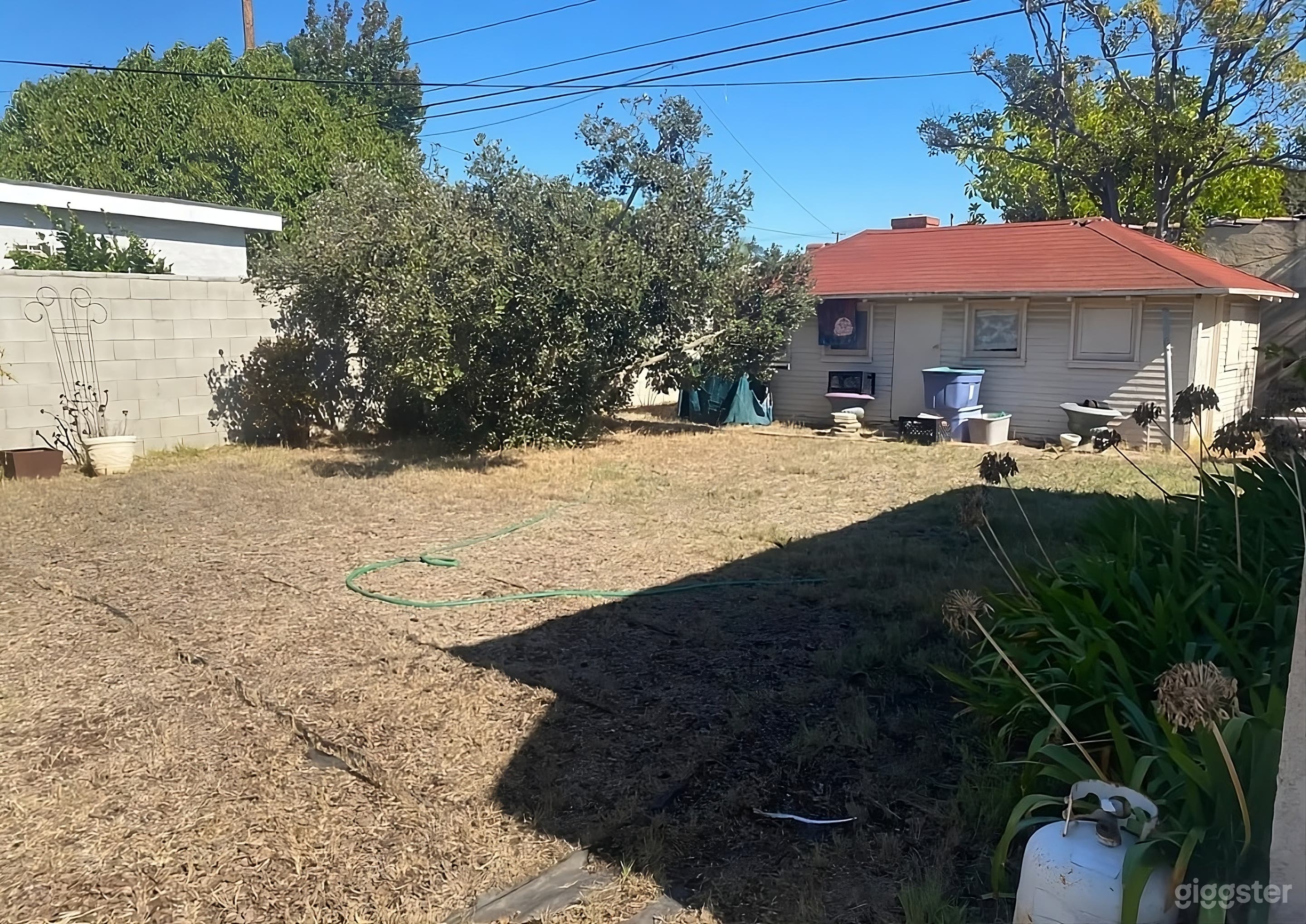 Versatile Expansive Backyard Space Photo 1