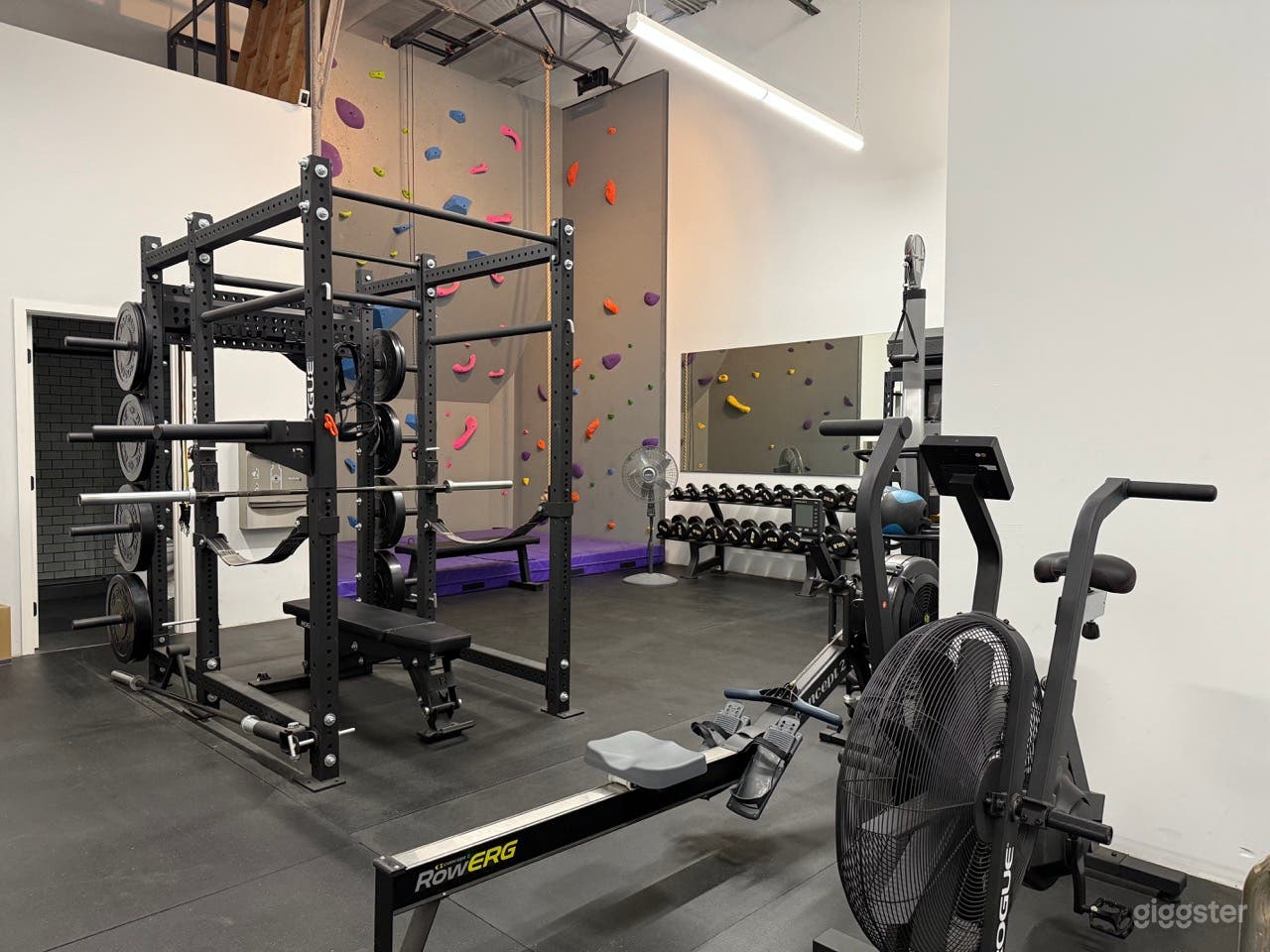 Private gym with rock climbing wall