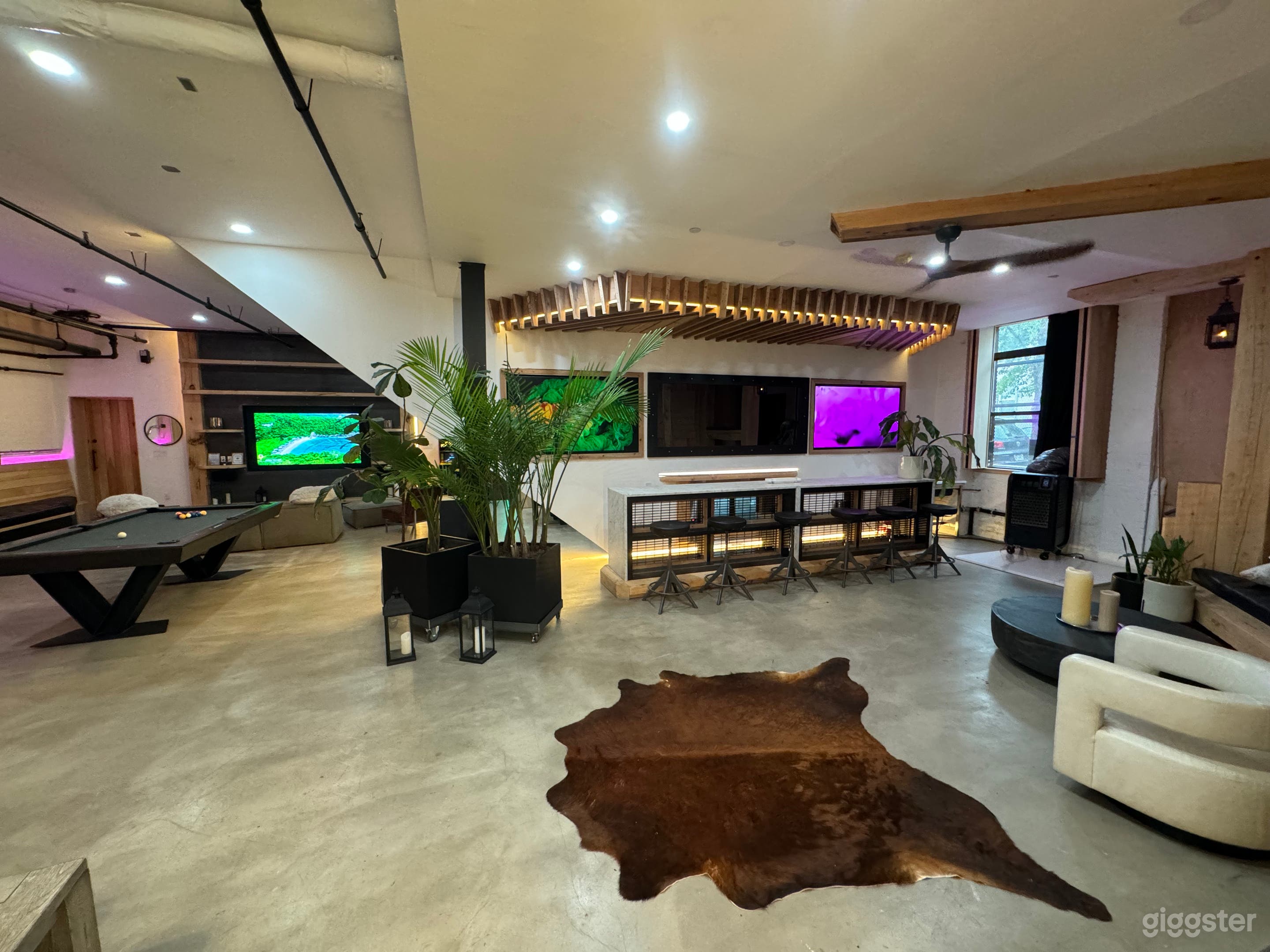 A Hidden Gem in Greenpoint Photo 2