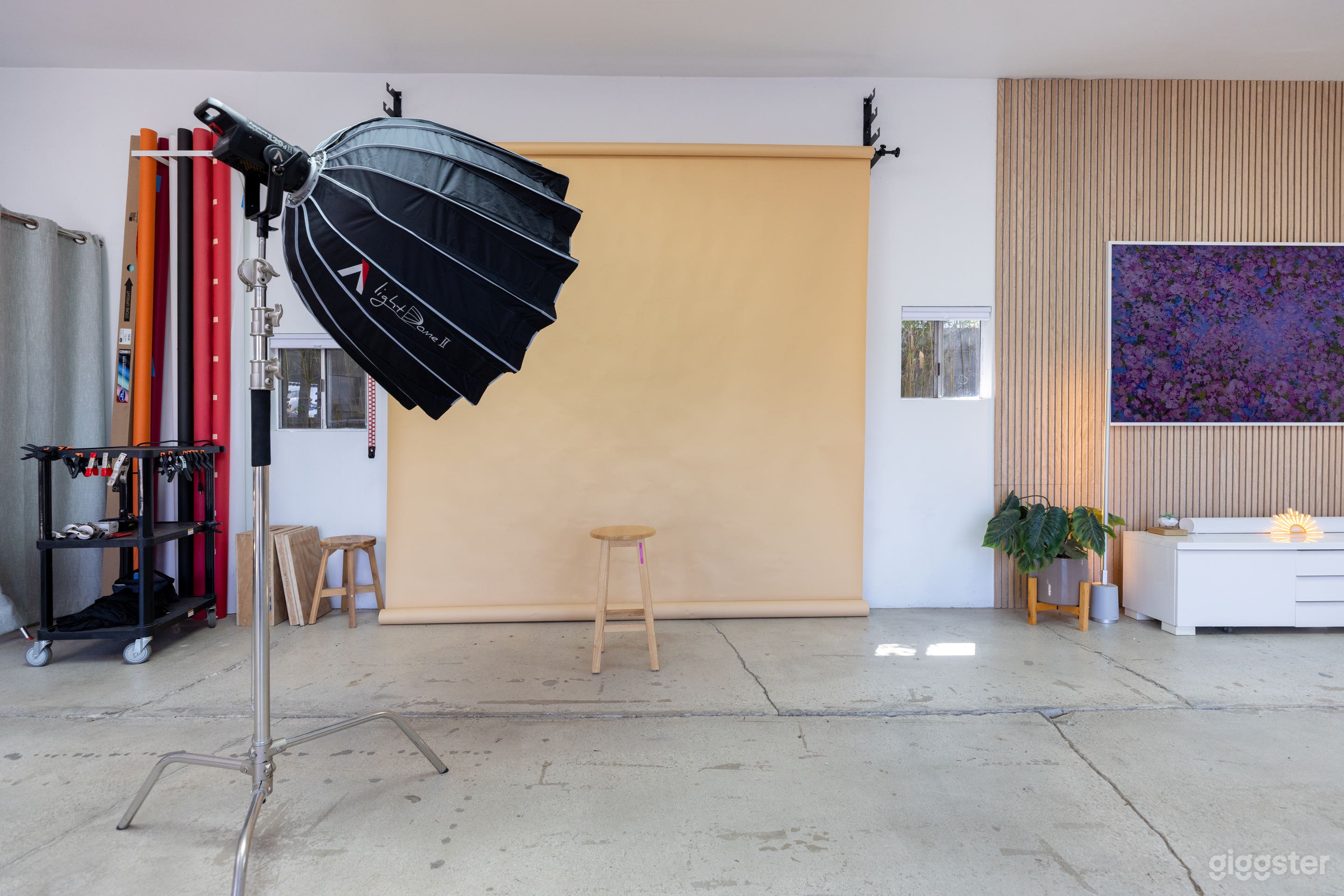 Vibrant Studios: Indoors and Outdoors Space Photo 1