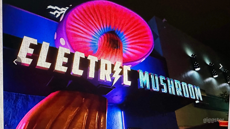  The Electric Mushroom: "Iconic 50ft Landmark" Venue 