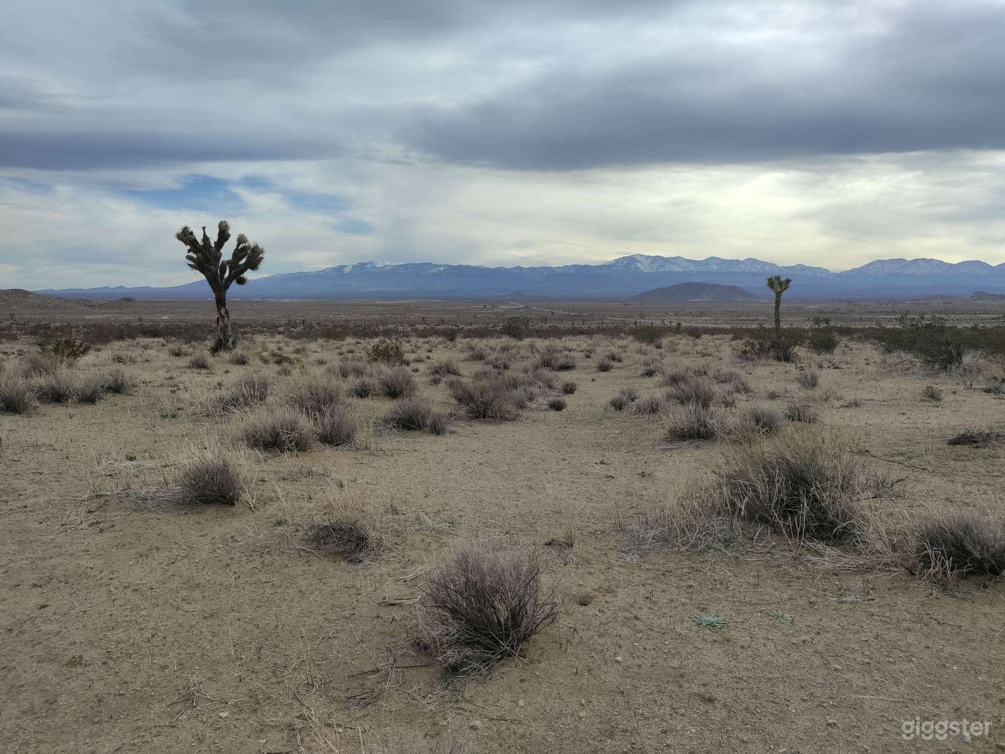 2.67 acres of Mojave Desert Wilderness Photo 2