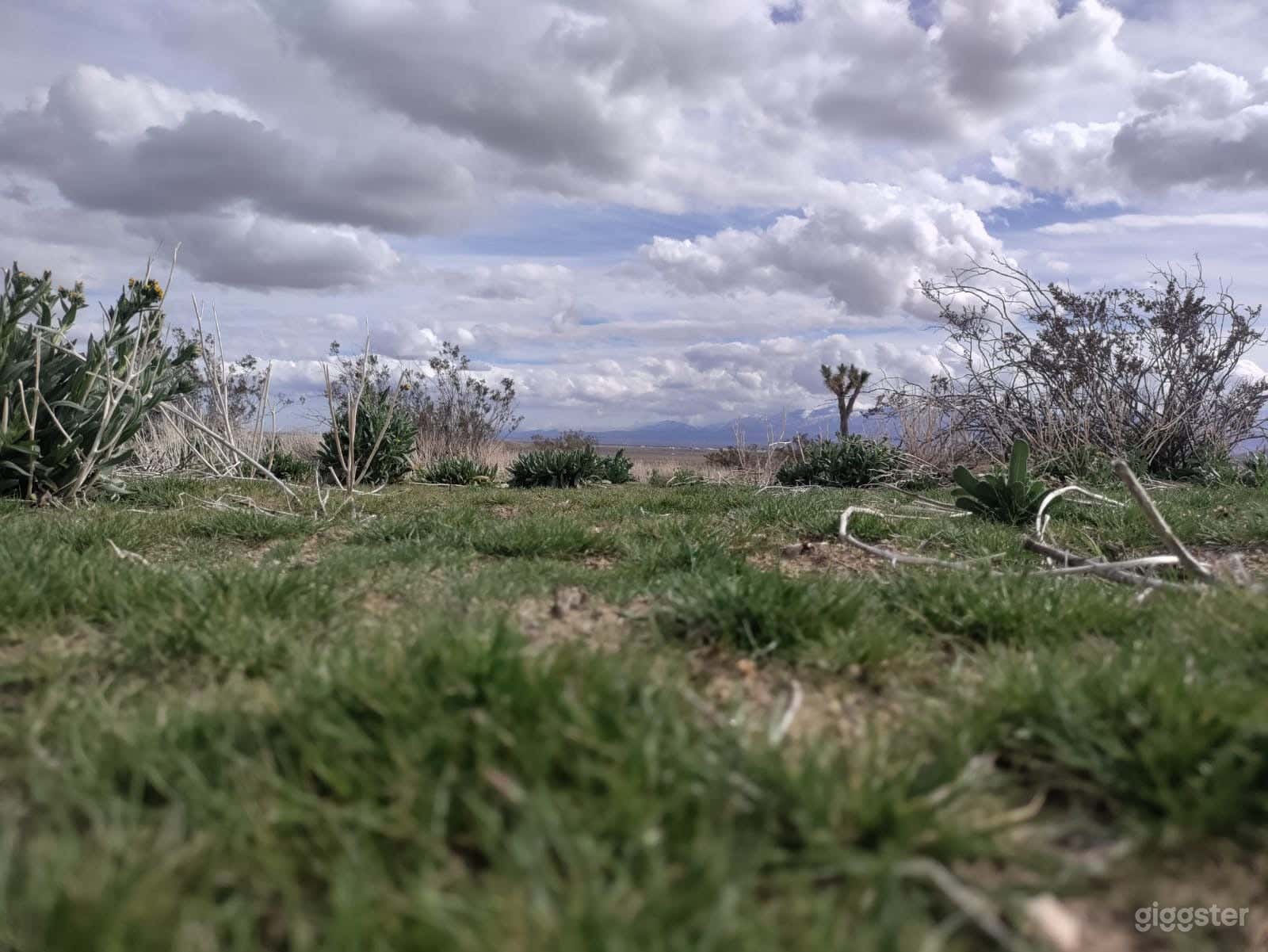 2.67 acres of Mojave Desert Wilderness Photo 3