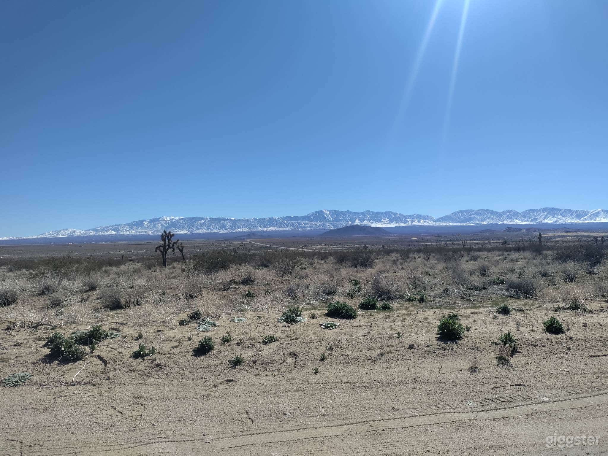 2.67 acres of Mojave Desert Wilderness Photo 4
