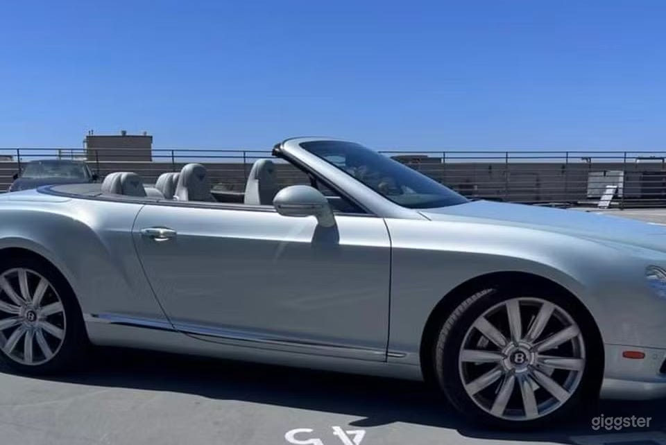 Luxury Bentley- Diamond Stitch &amp; Showroom Finish Photo 4