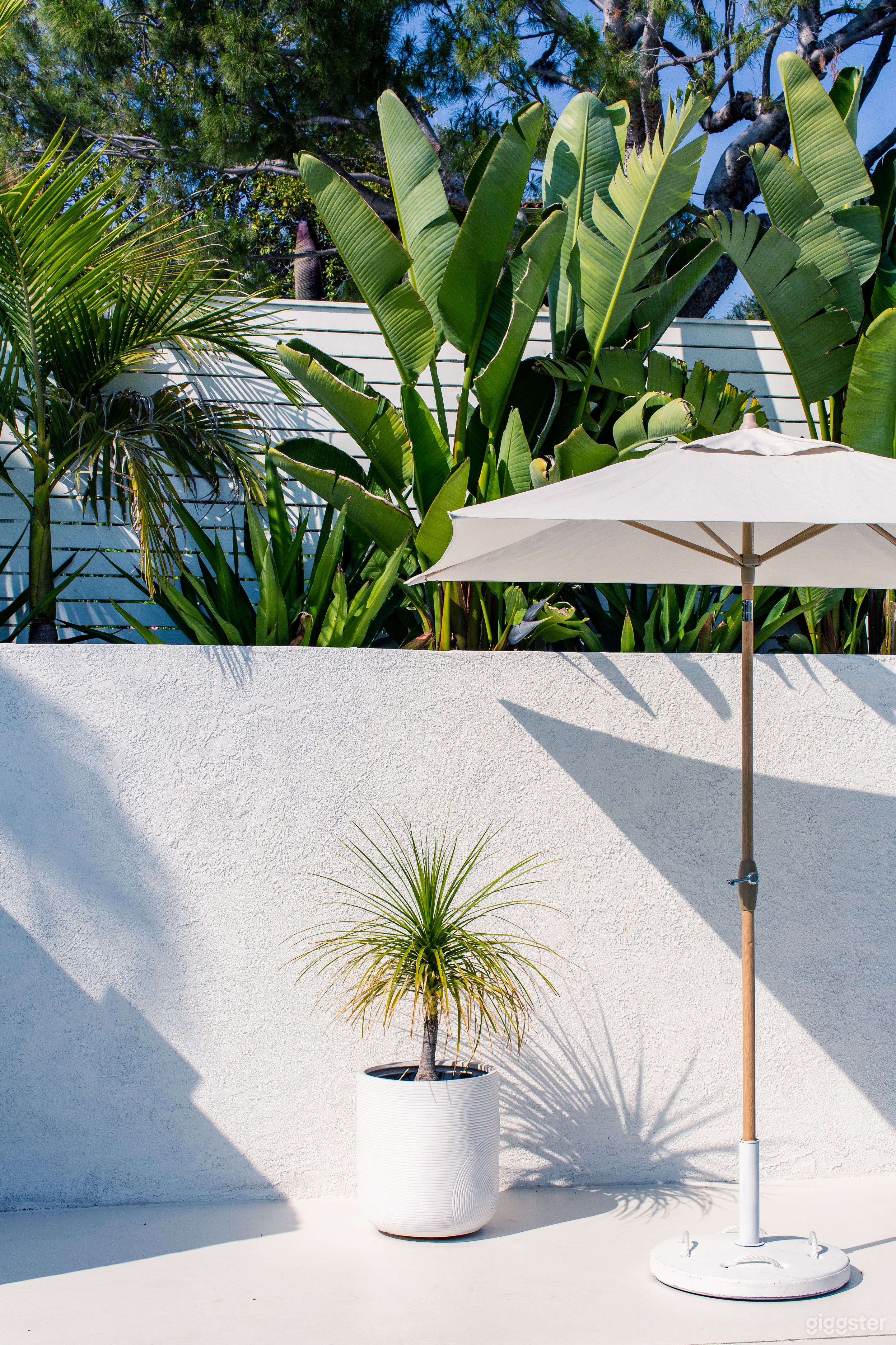 Poolside in Silver Lake Photo 3