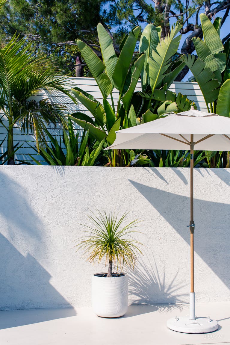  Poolside in Silver Lake 