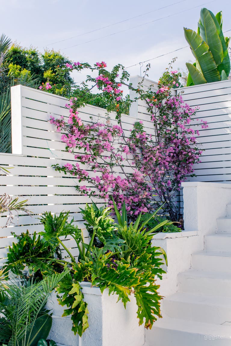 Poolside in Silver Lake 