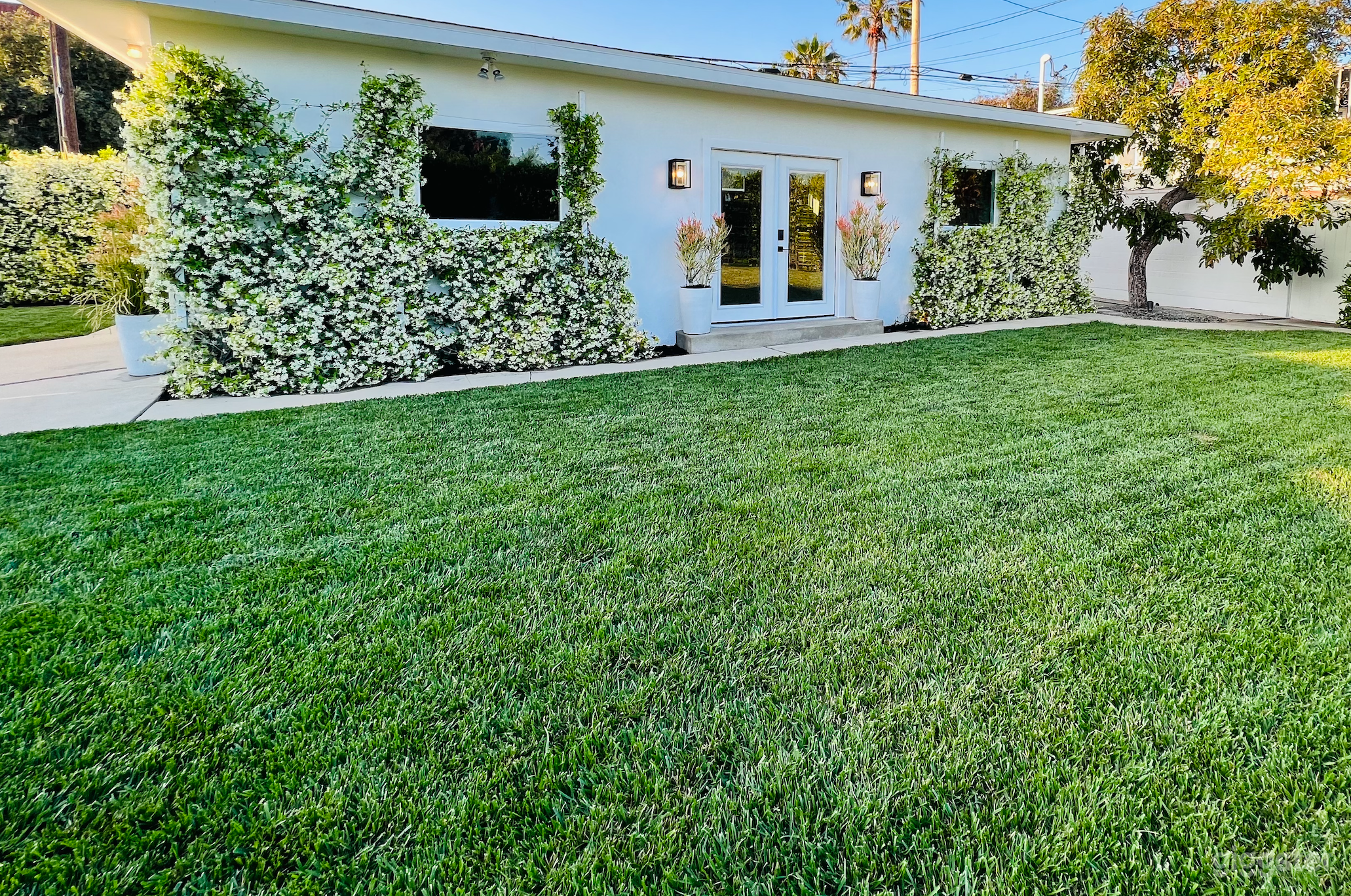  White House Oasis Backyard in Heart of Long Beach Photo 4