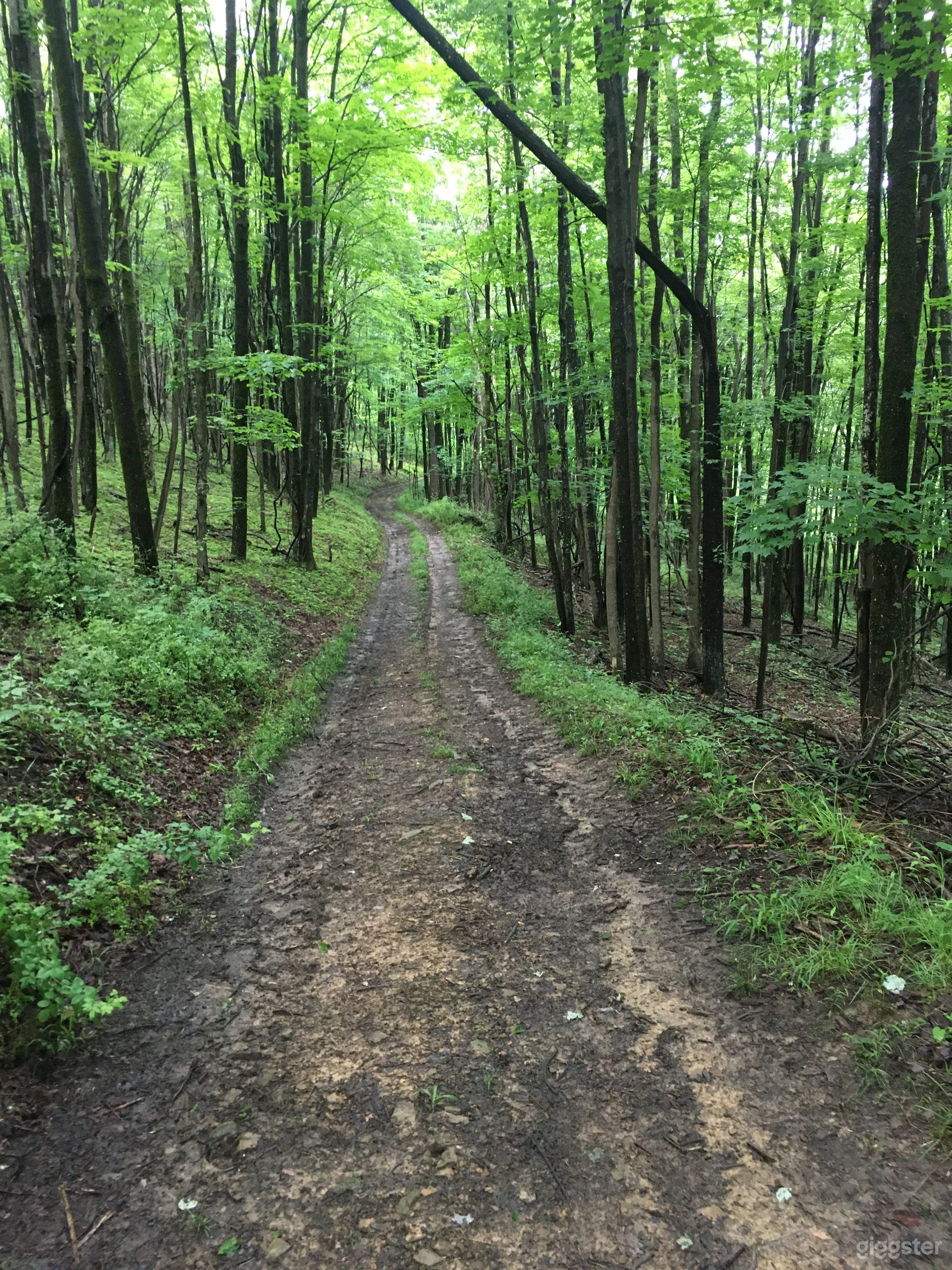 Old time Homestead Photo 4