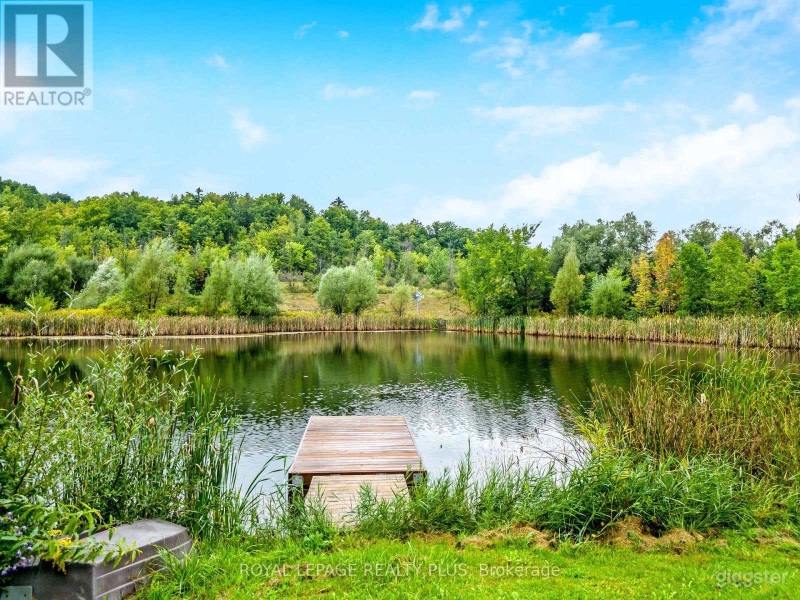 Beautiful Scenic Large Property with lake/forest/wildlife Photo 3