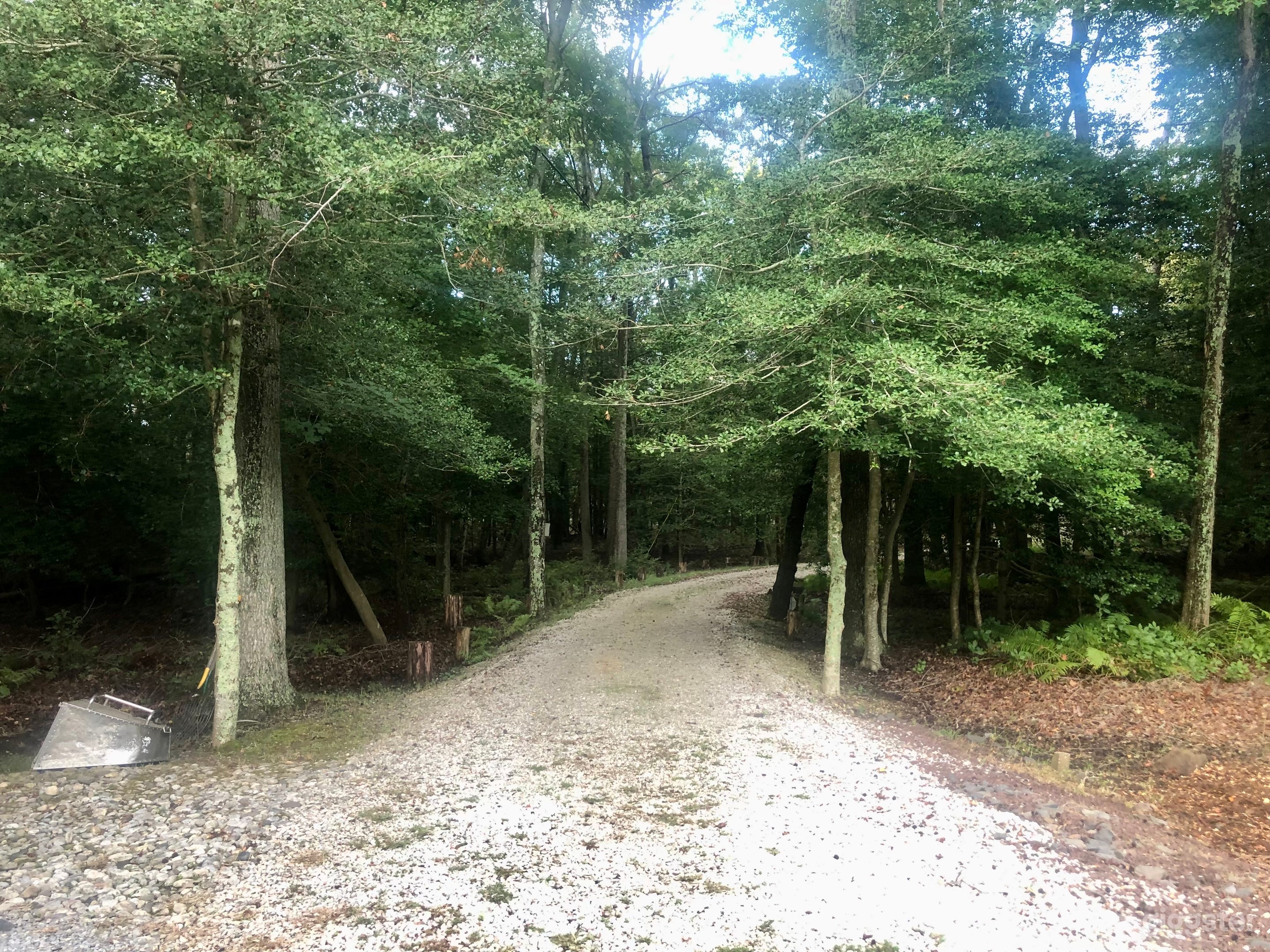 Riverfront paradise for perfect cinematic setting Photo 4