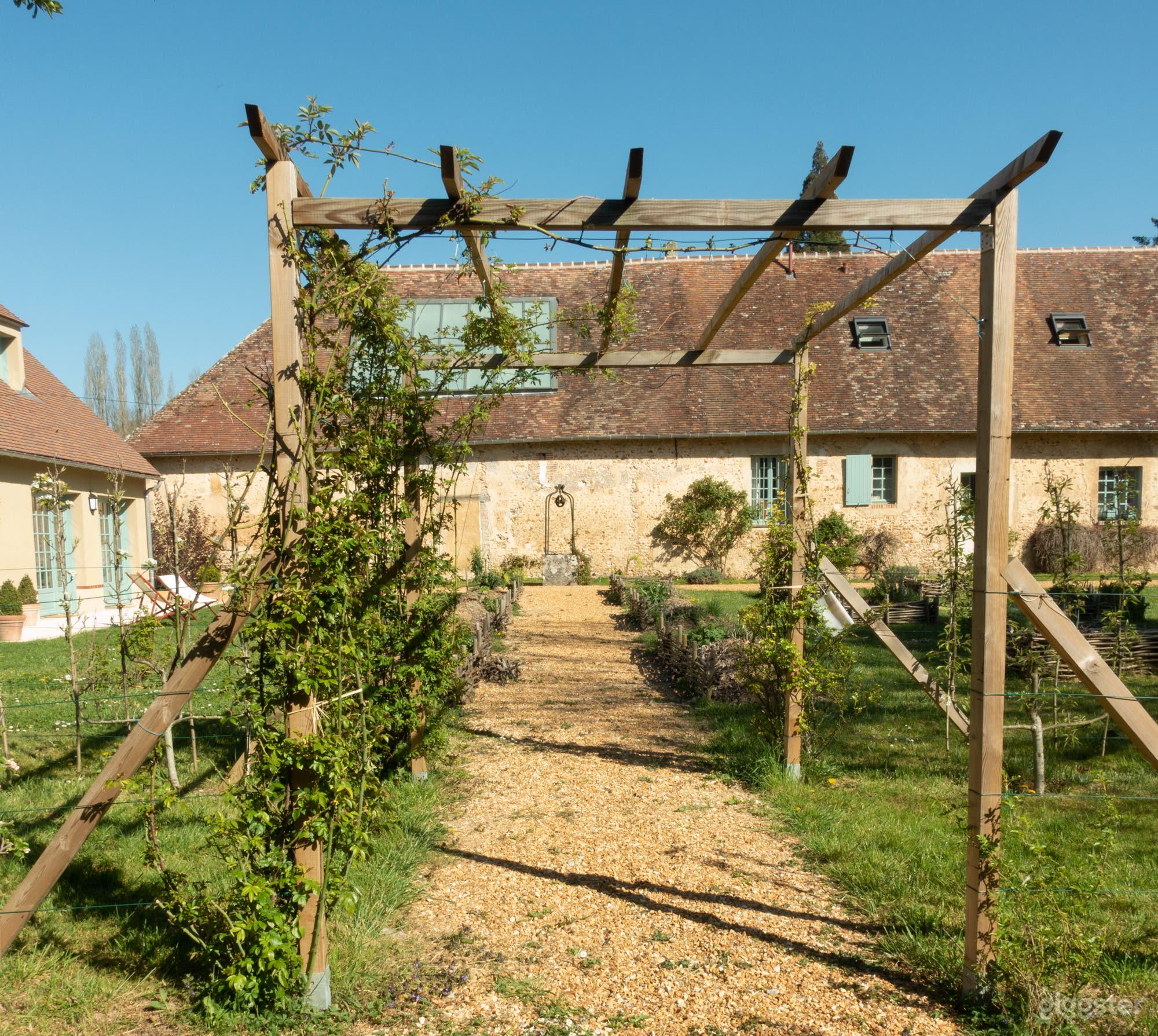 The Medieval Vegetable Garden Photo 2