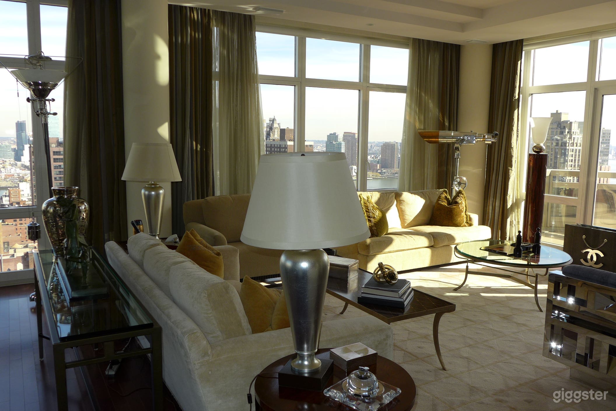 Penthouse With Spectacular NYC View  Photo 4