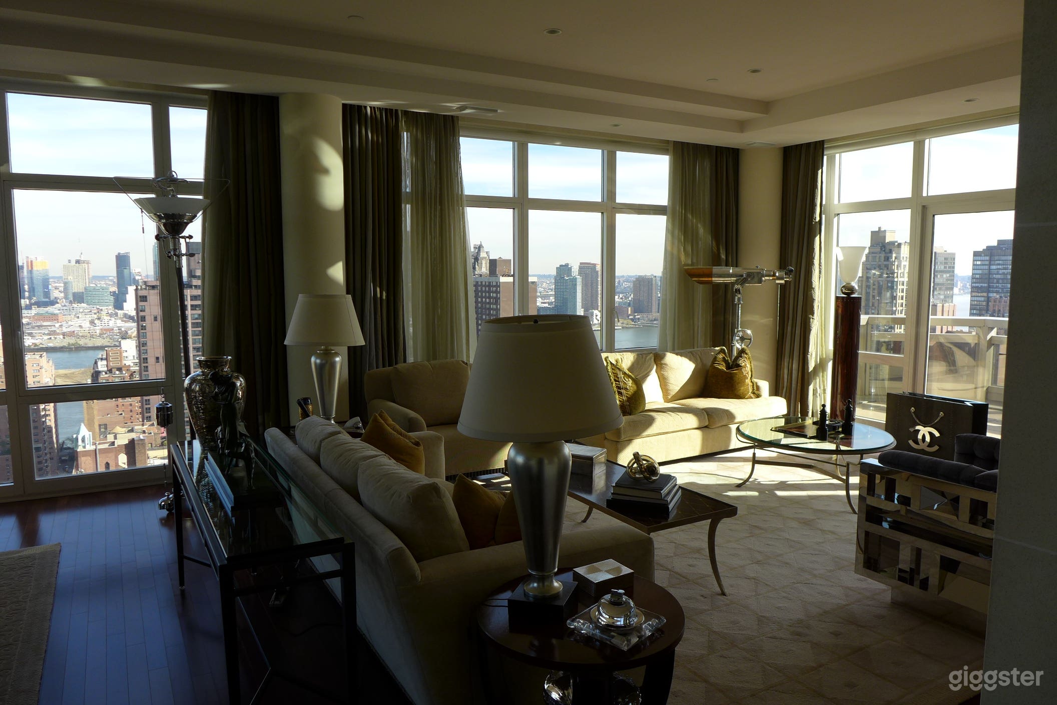 Penthouse With Spectacular NYC View  Photo 1