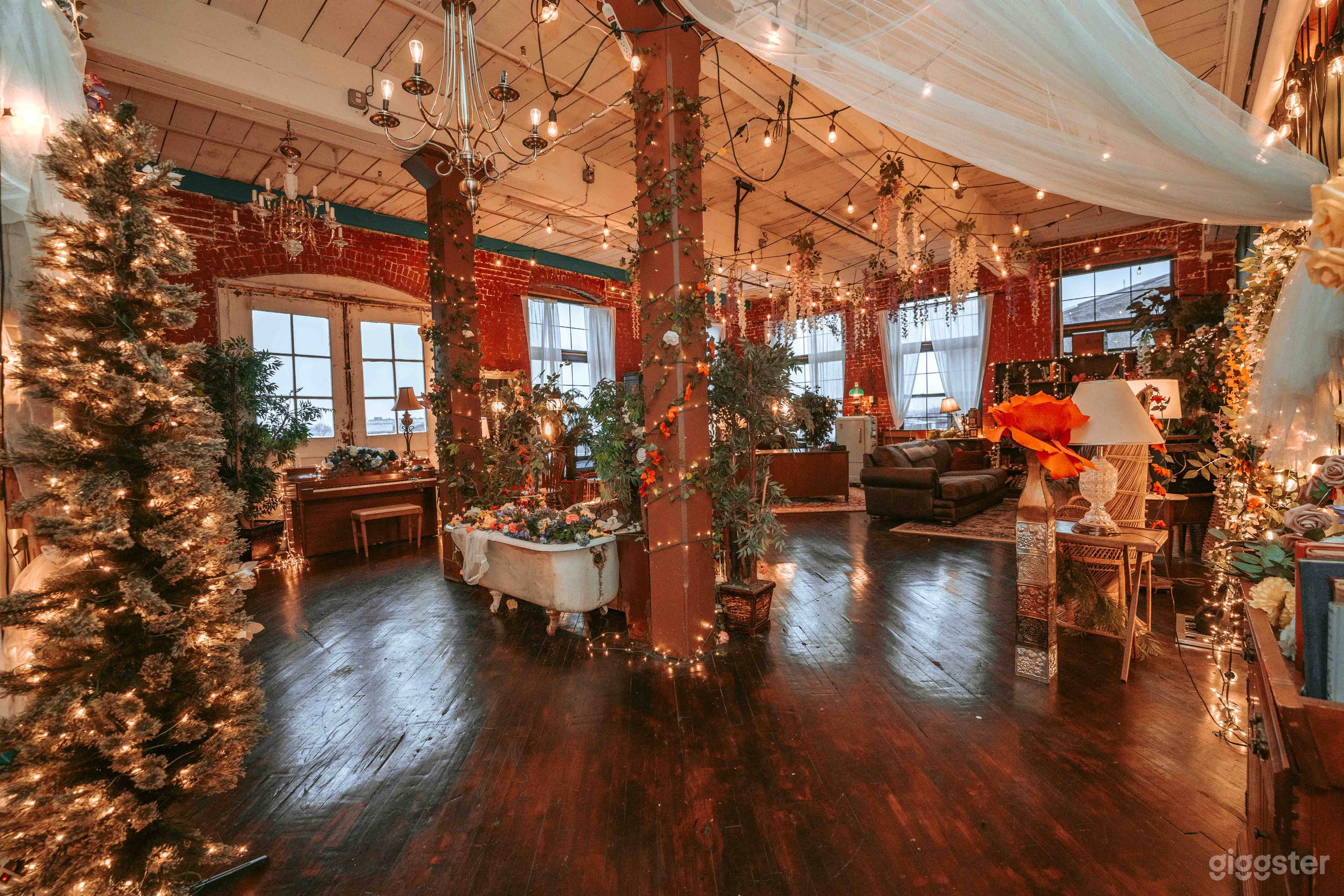 Nova Garden at Novalight Studios Photo 1