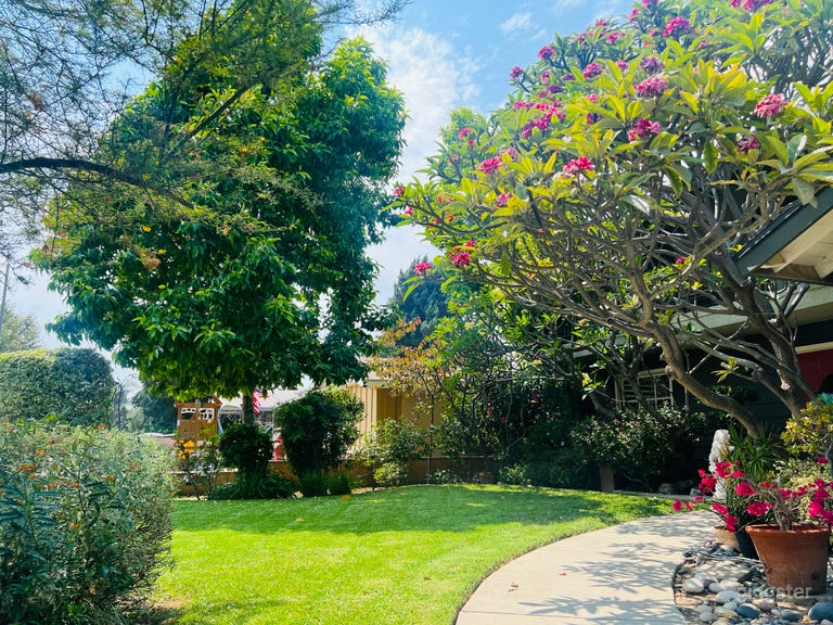  Tropical Oasis Located in the Valley 