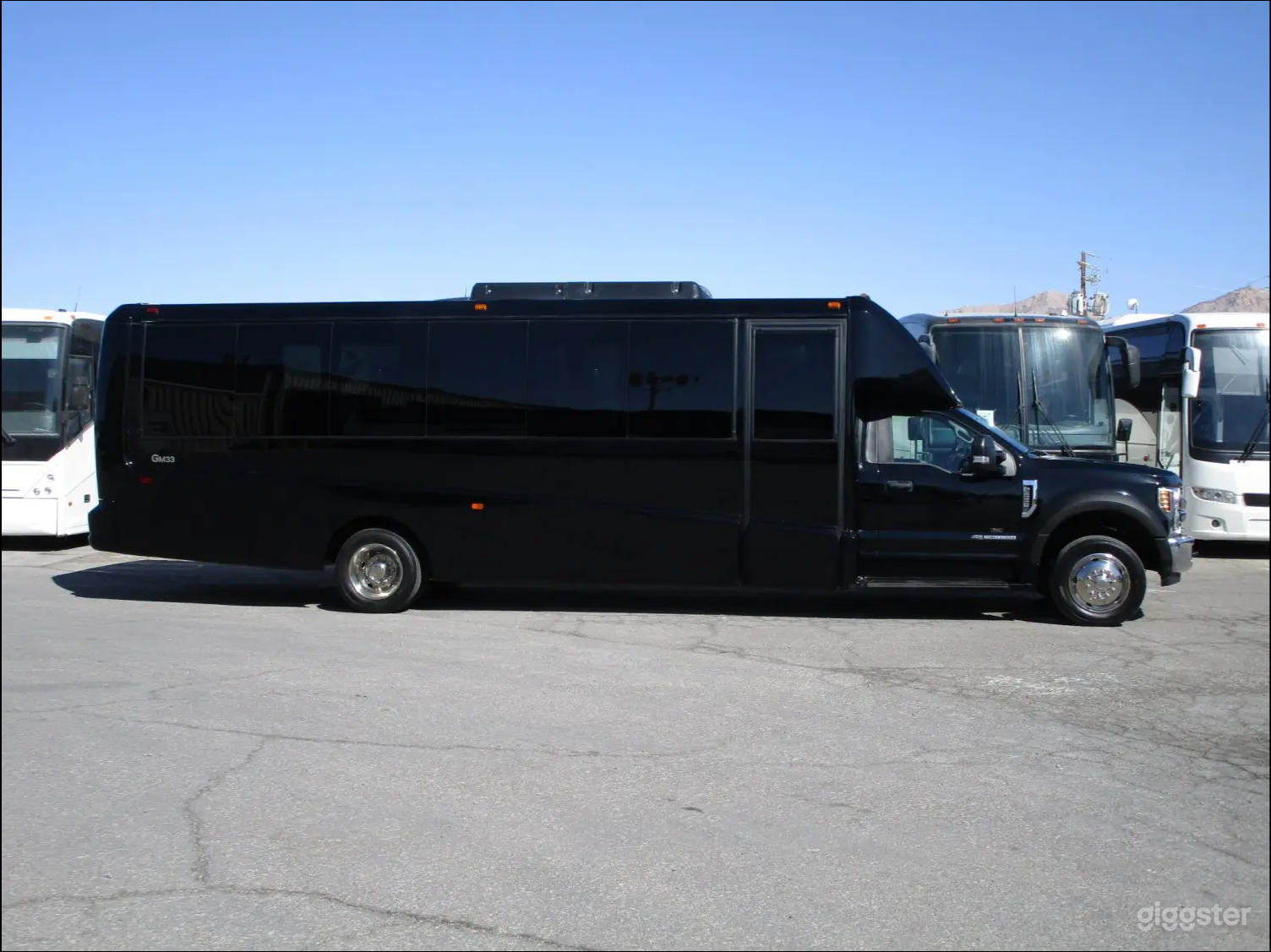 Party Bus – 28 Passengers Photo 1