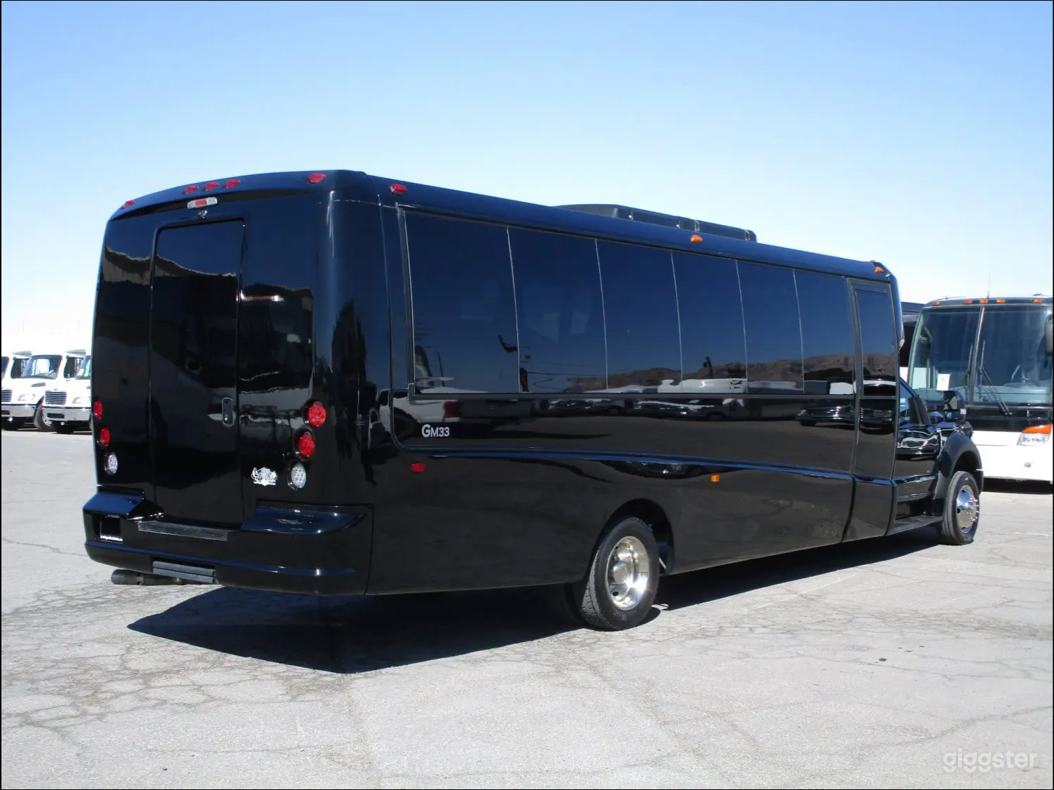 Party Bus – 28 Passengers Photo 4