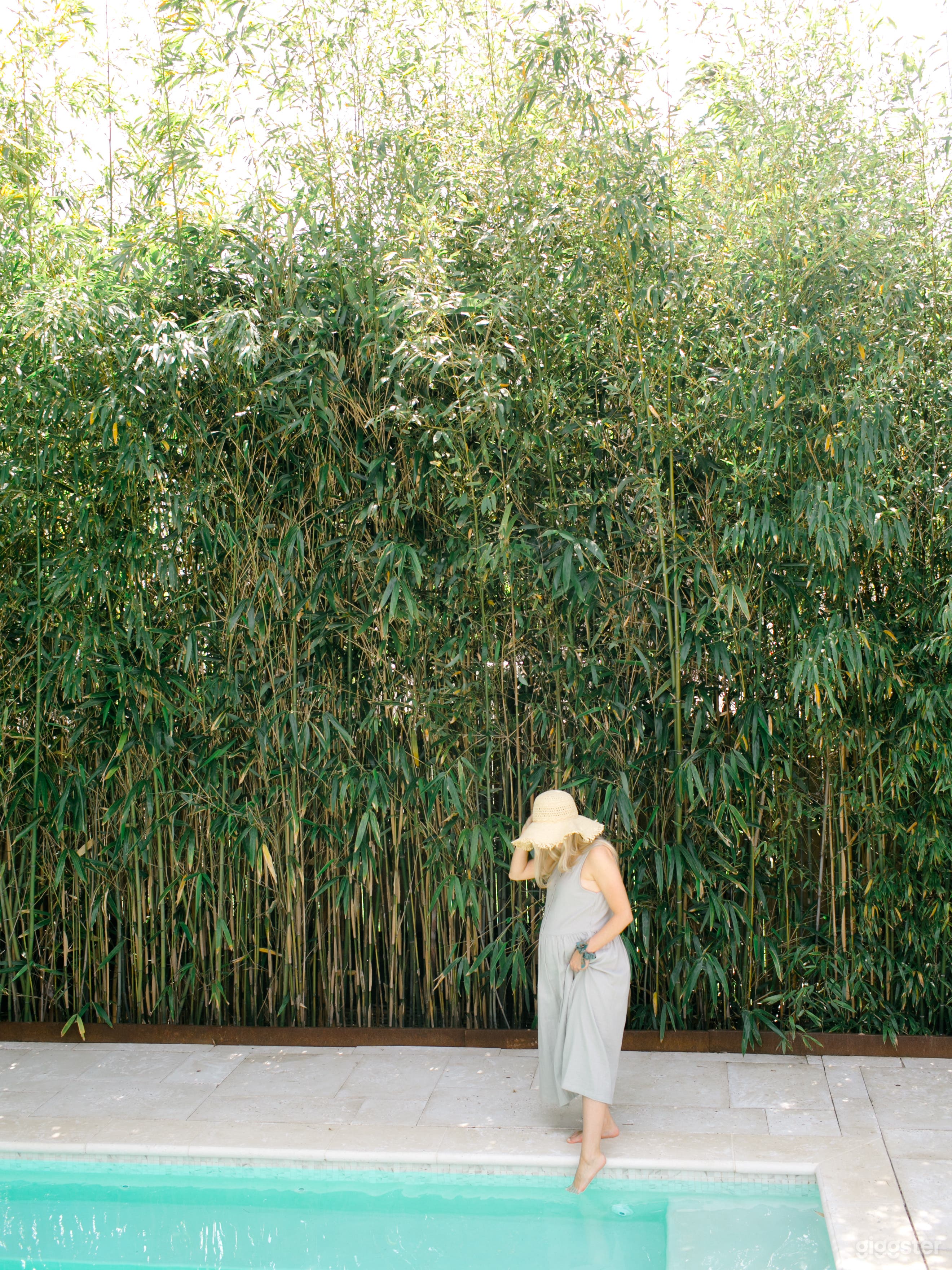 Wall of bamboo in backyard