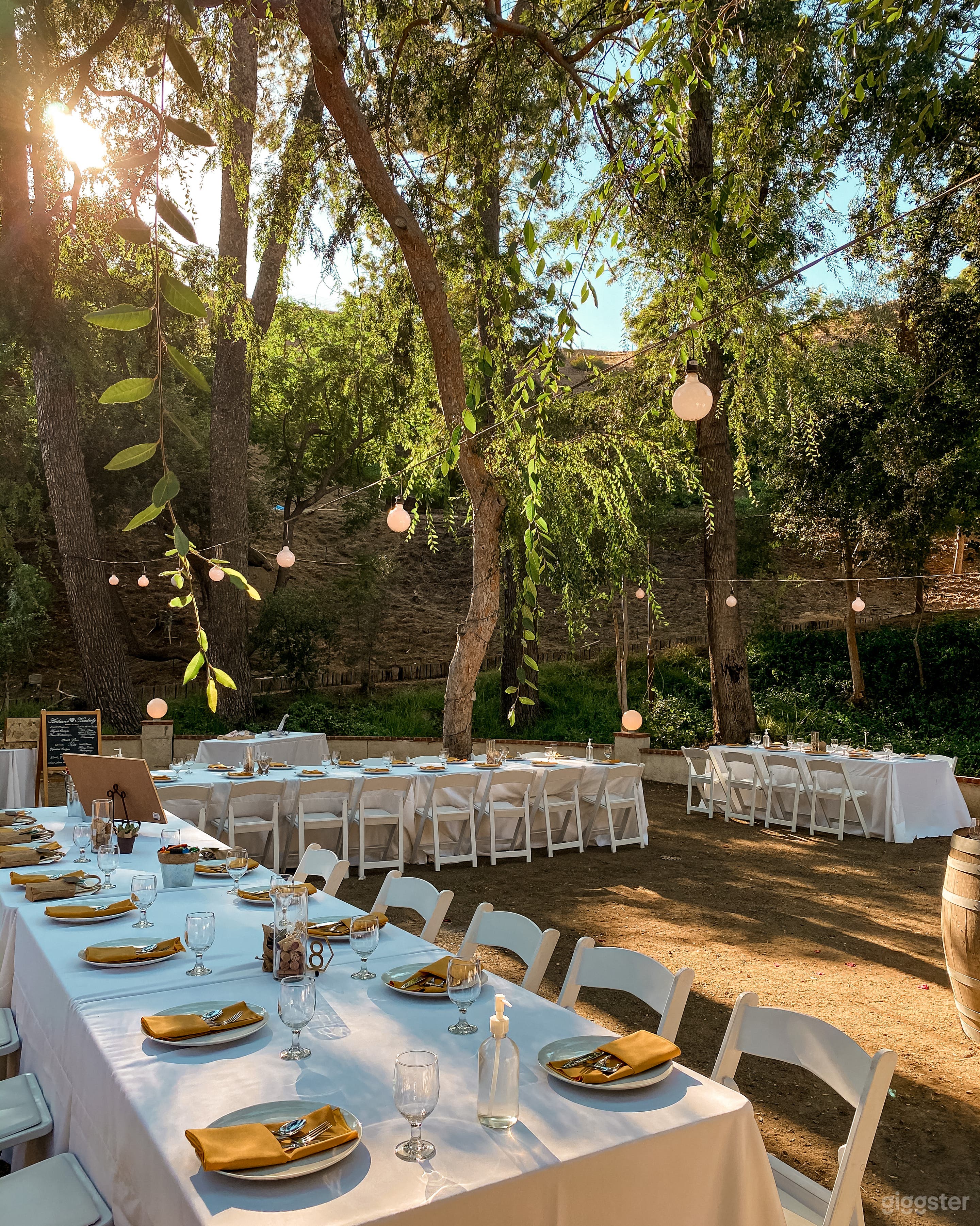 Outdoor Garden ~ Zen-like Tree &amp; Mountain Oasis Photo 2