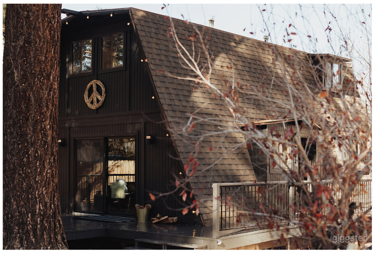  Mountain Modern Cabin 