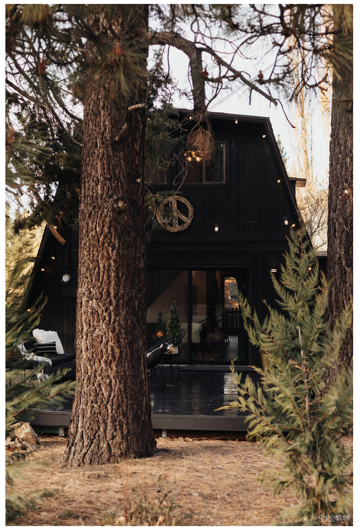 Mountain Modern Cabin Photo 1