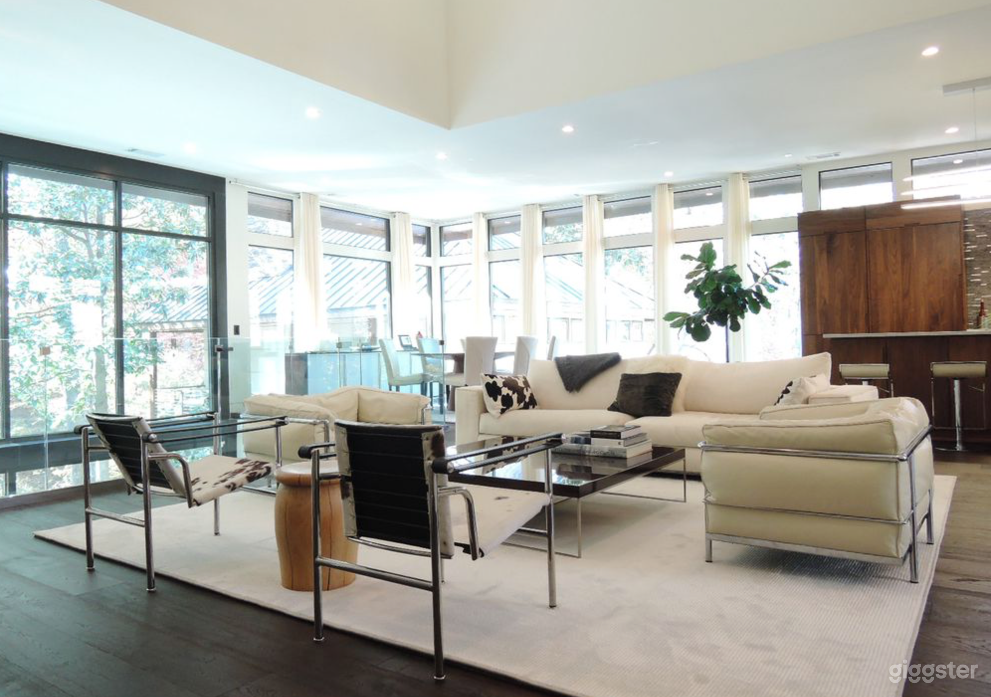 Open living room, dining room and kitchen