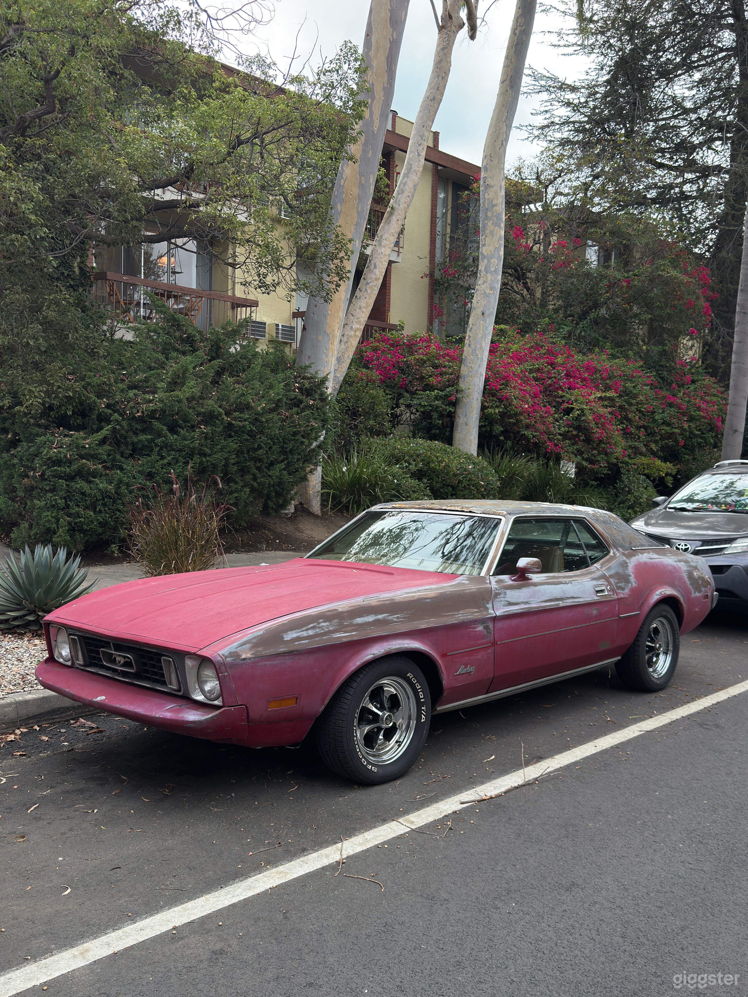 1971 Rusty Fastback Ford Mustang Photo 2