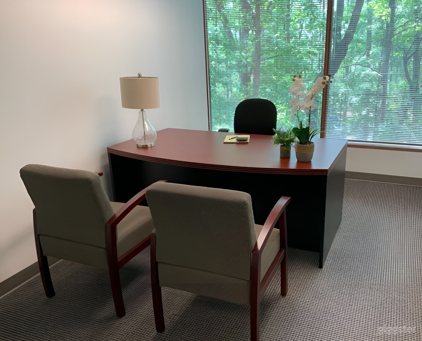 Private Office Suites in Duluth Photo 2