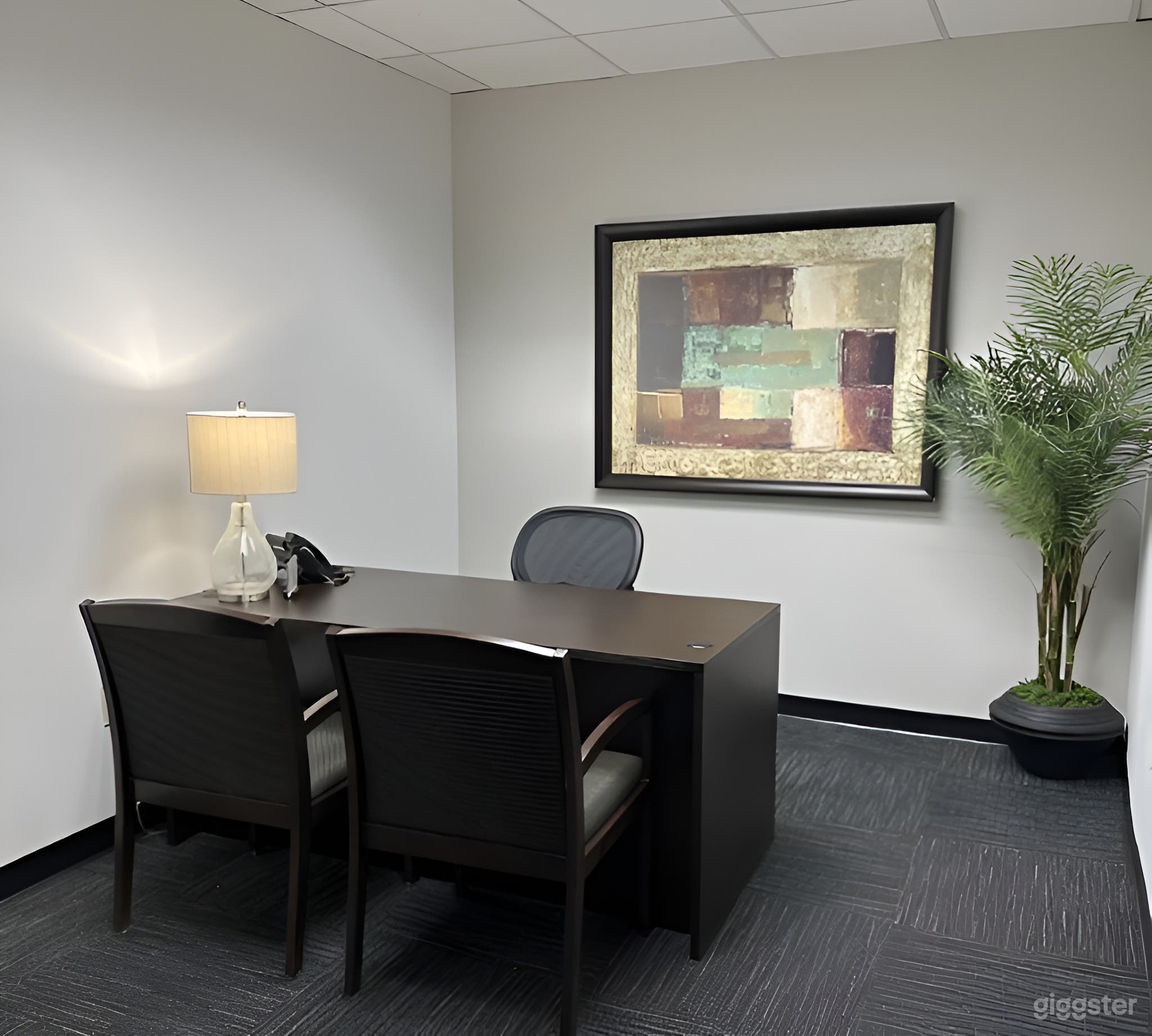 Private Office Suites in Duluth Photo 1