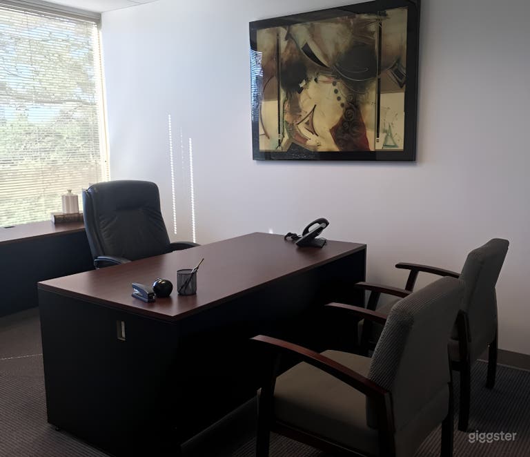 Private Office Suites in Duluth 