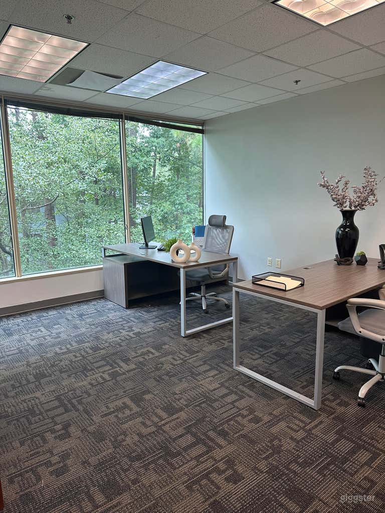  Private Office Suites in Duluth 