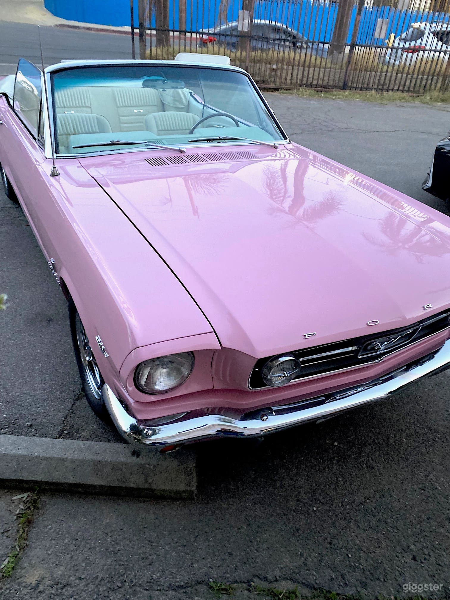 #76,160 Classic Pink Ford Mustang Convertible  Photo 4