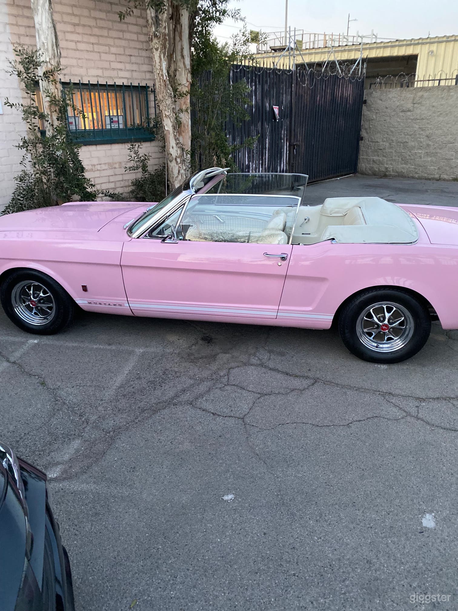#76,160 Classic Pink Ford Mustang Convertible  Photo 3