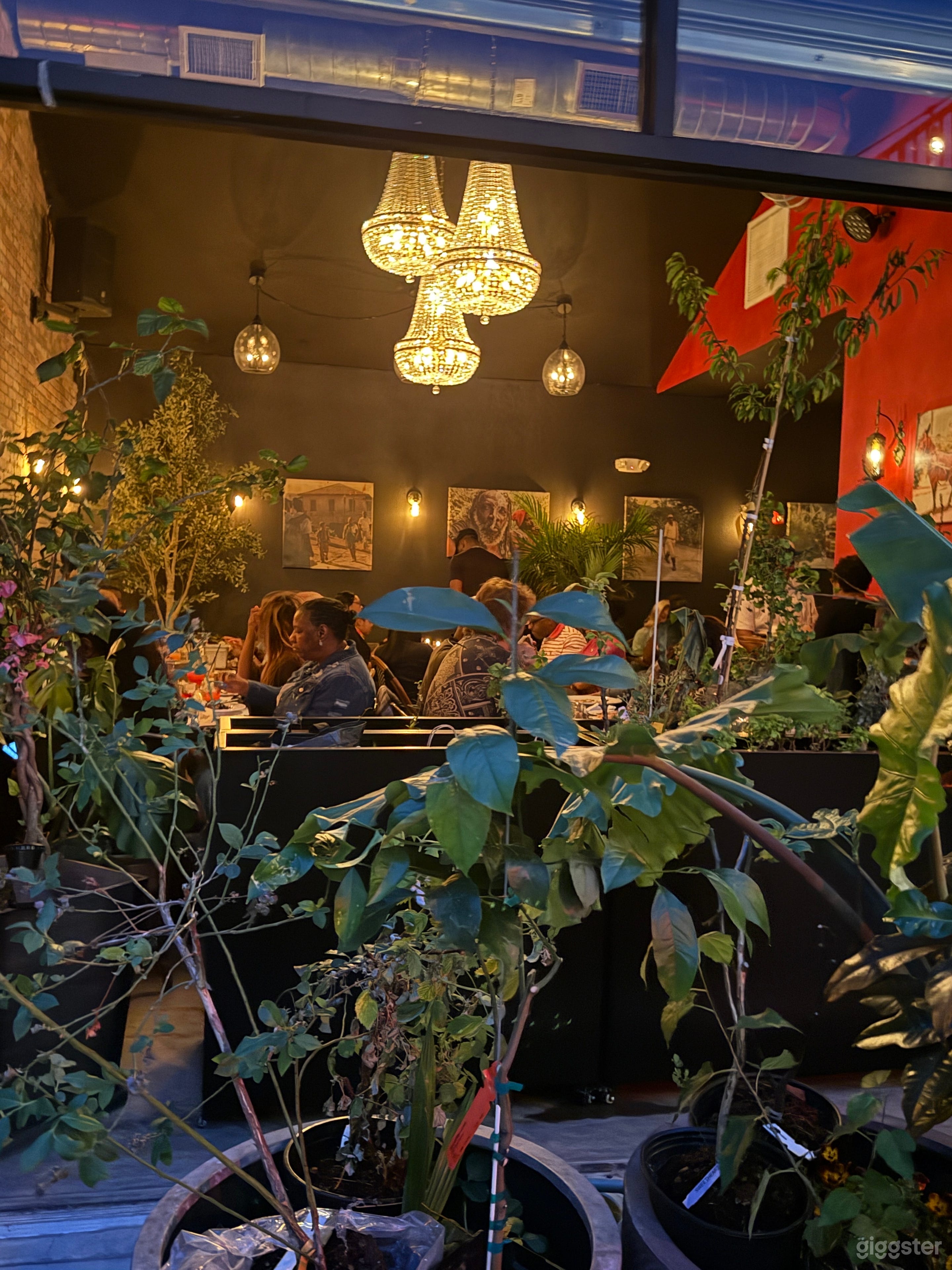 Bohemian Caribbean Neighborhood Restaurant & Bar Photo 1