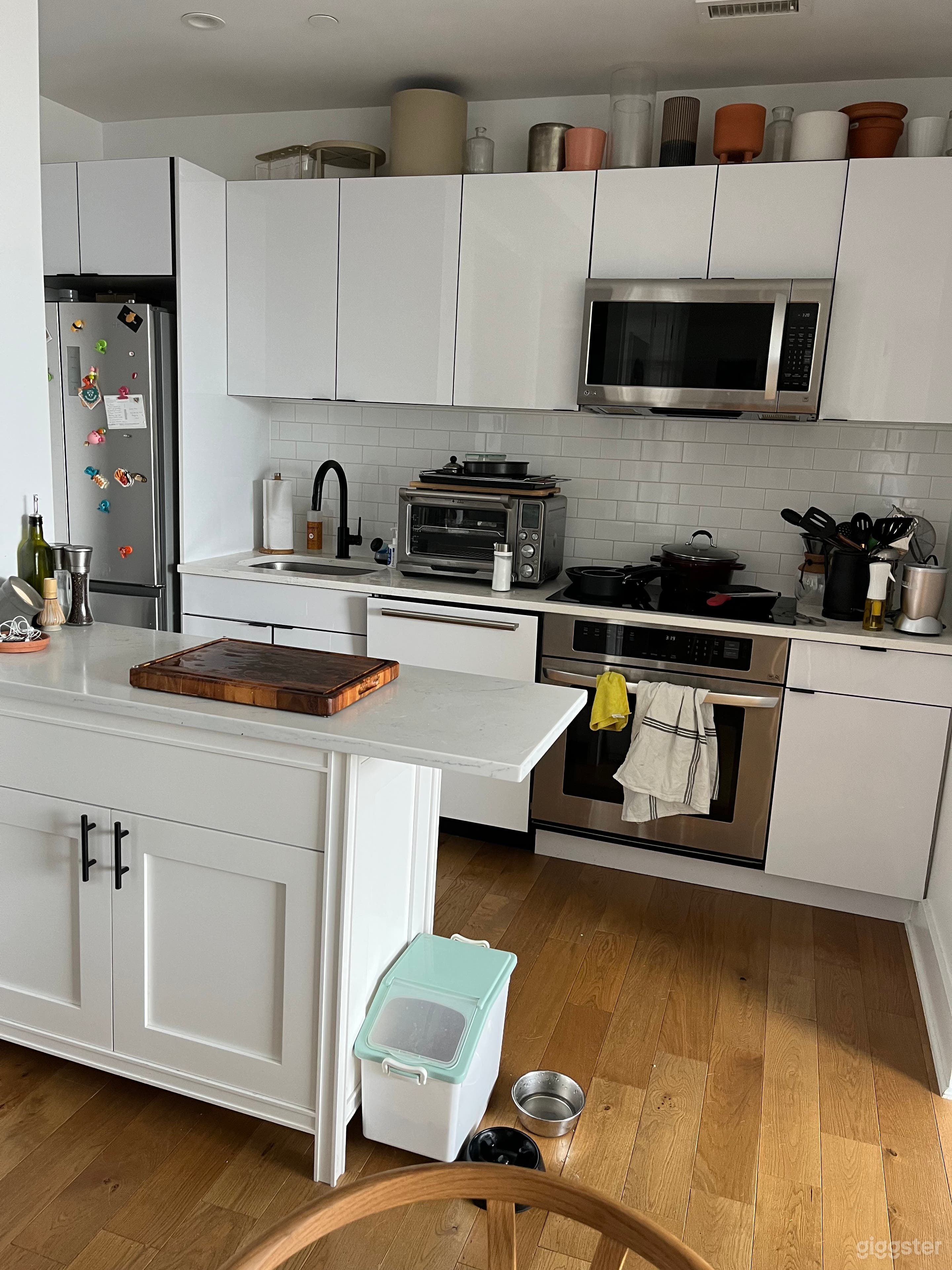 Mid century Modern Plant Filled Oasis Photo 3