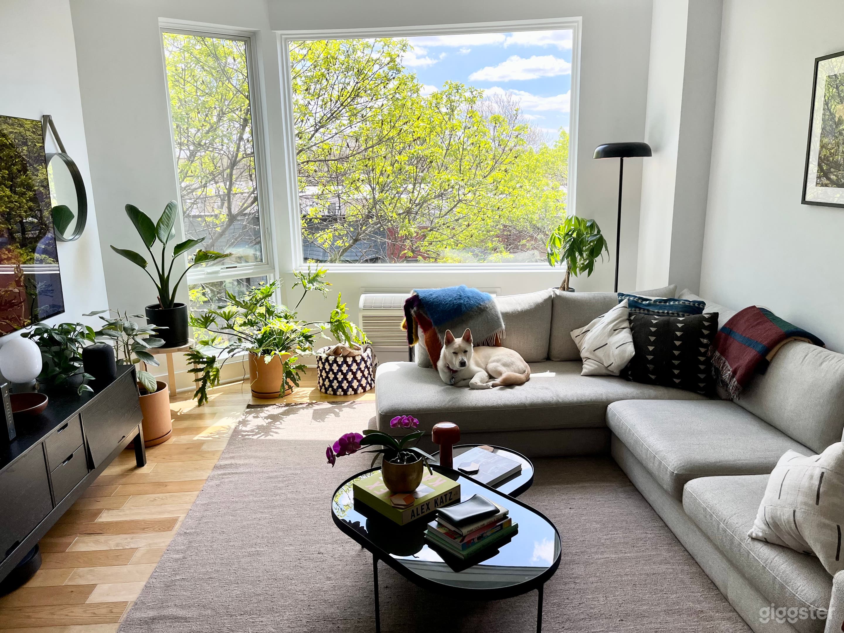 Mid century Modern Plant Filled Oasis Photo 1