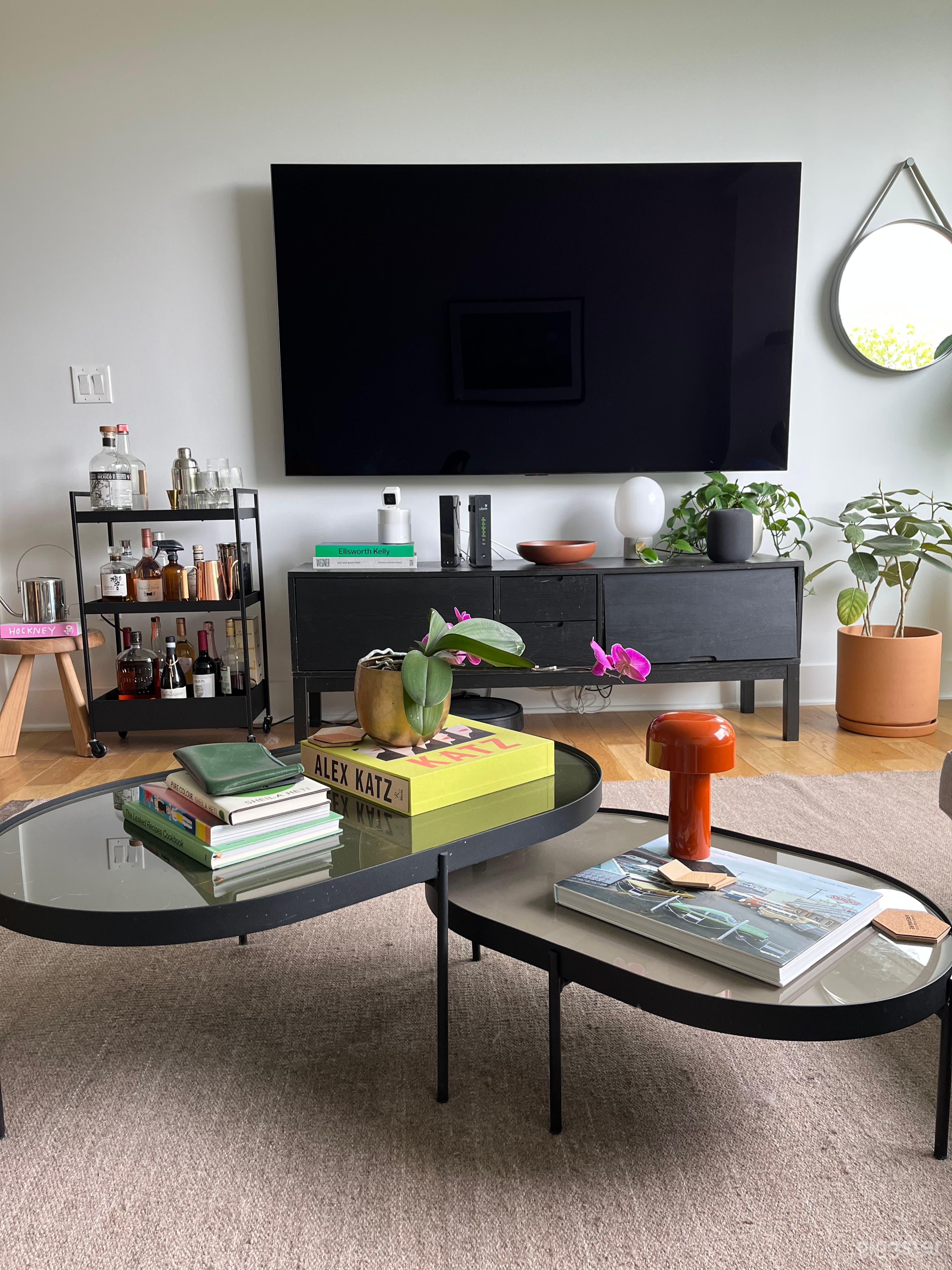 Mid century Modern Plant Filled Oasis Photo 4