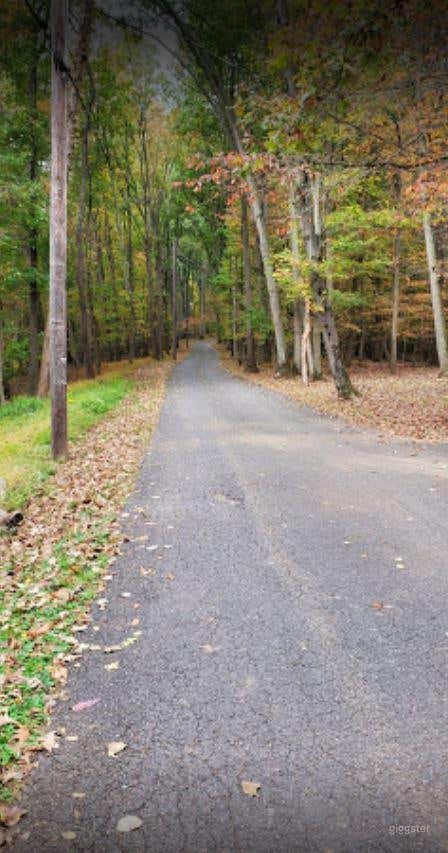 Hiking Trails Area Photo 4