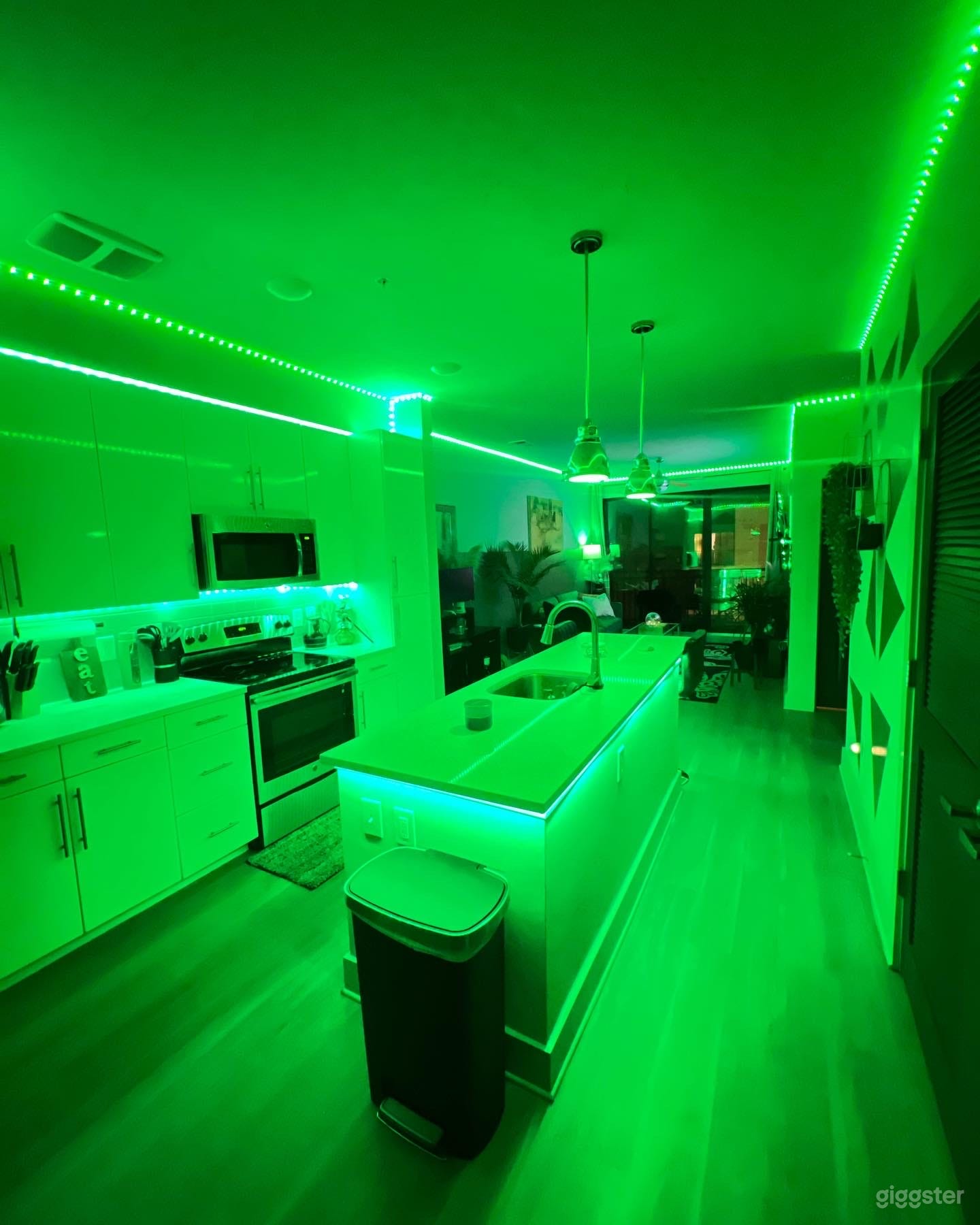 Lux Midtown Apt | photo & video shoot space Photo 2