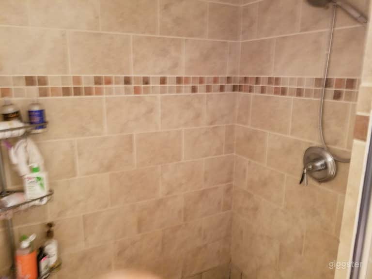  Partial Master Bathroom Shower 