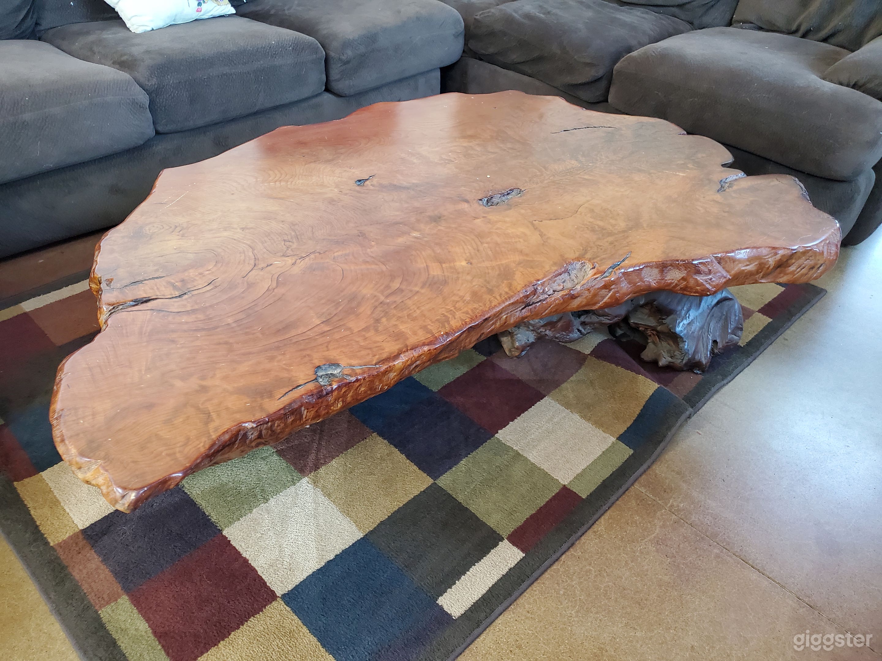 Cute Charmer with Hobby Farm  Photo 2